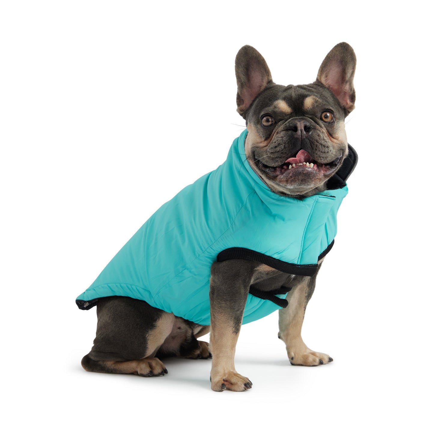 Reversible Chalet Dog Jacket – 2-in-1 Waterproof, Black/Aqua
