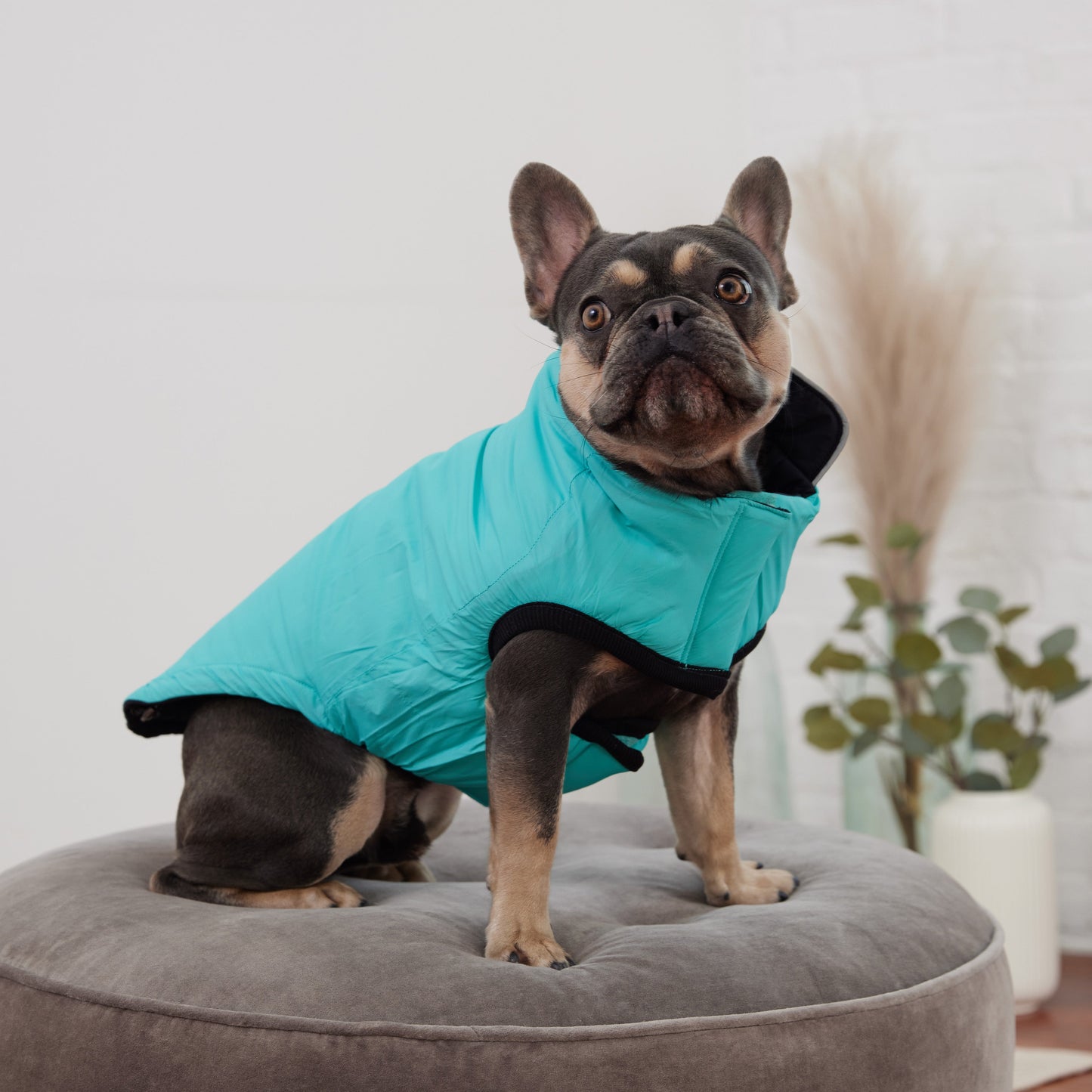 Reversible Chalet Dog Jacket – 2-in-1 Waterproof, Black/Aqua