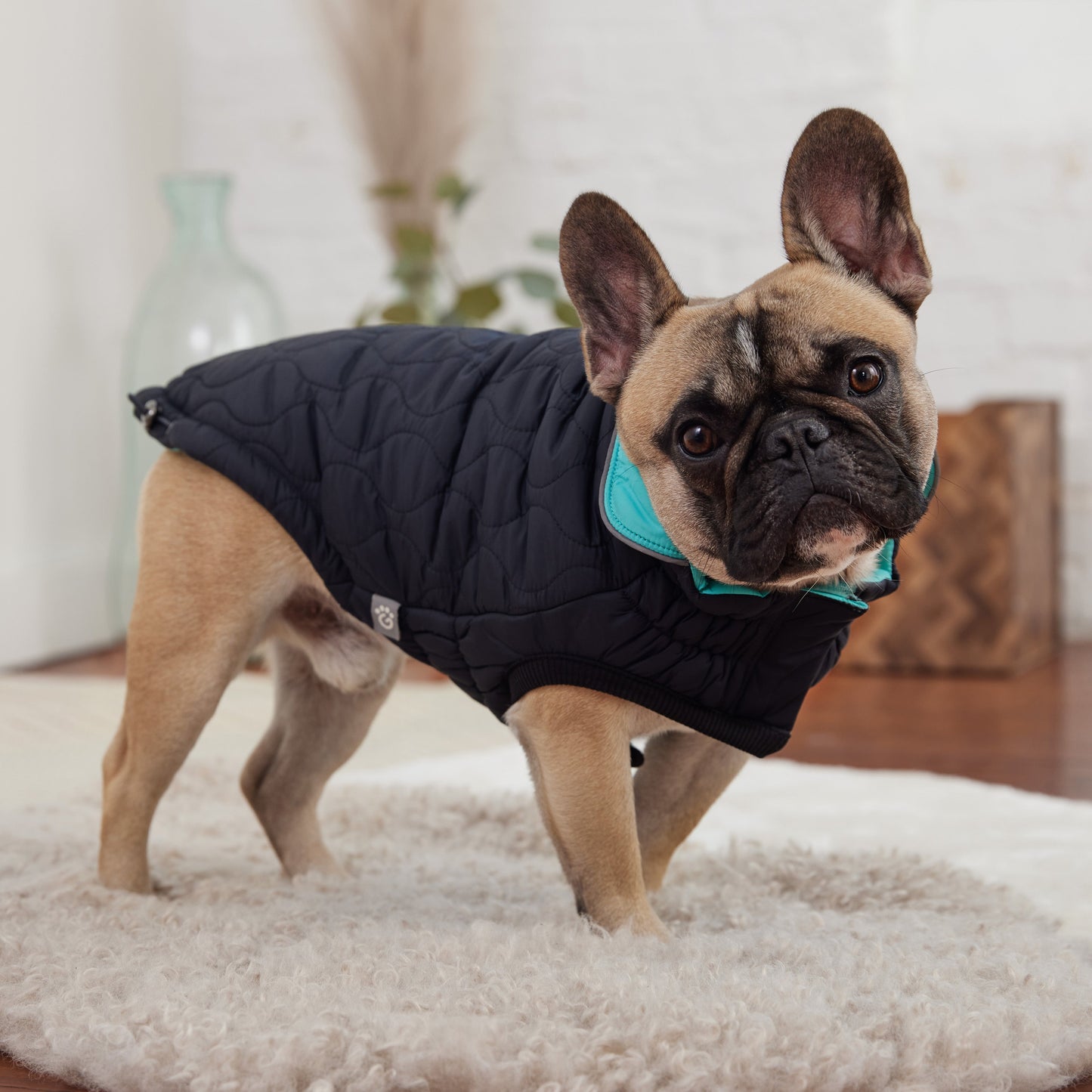 Reversible Chalet Dog Jacket – 2-in-1 Waterproof, Black/Aqua