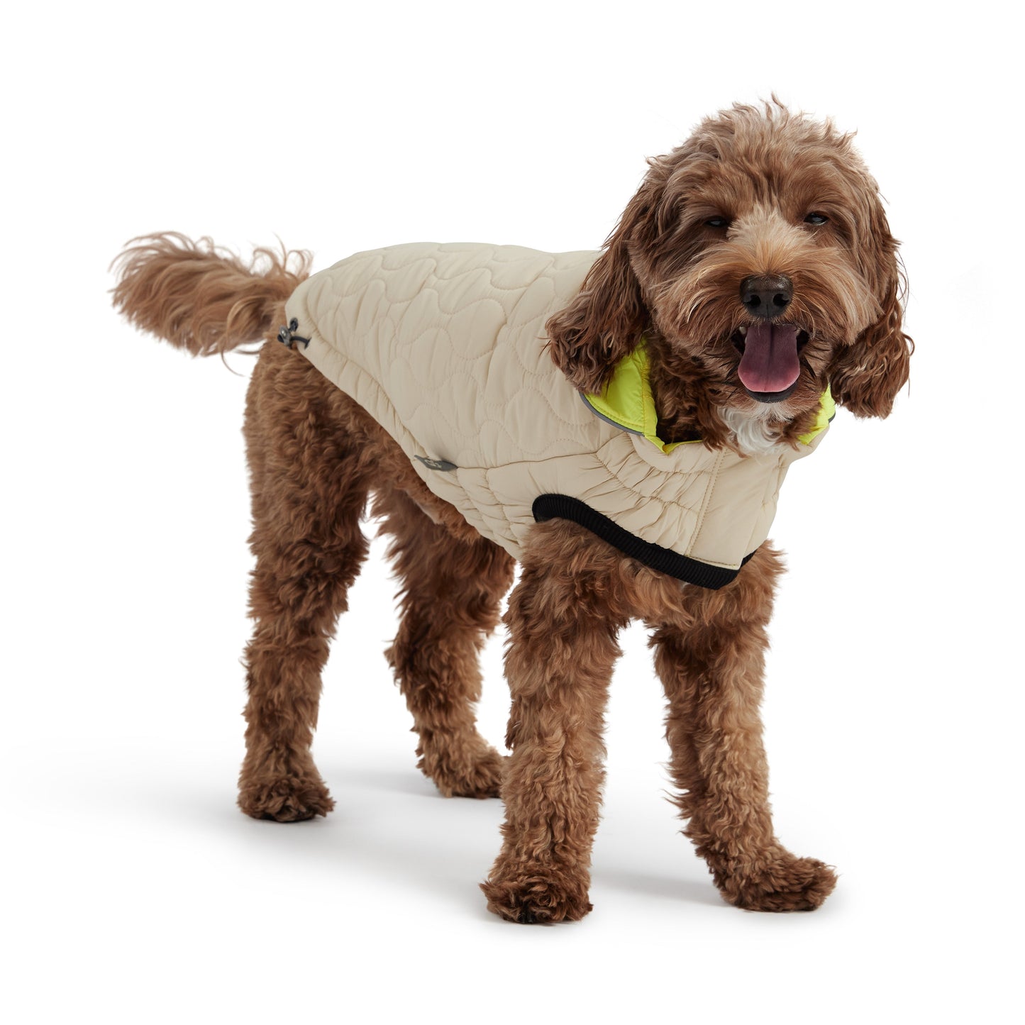 Reversible Chalet Dog Jacket – 2-in-1 Waterproof, Sand/Yellow