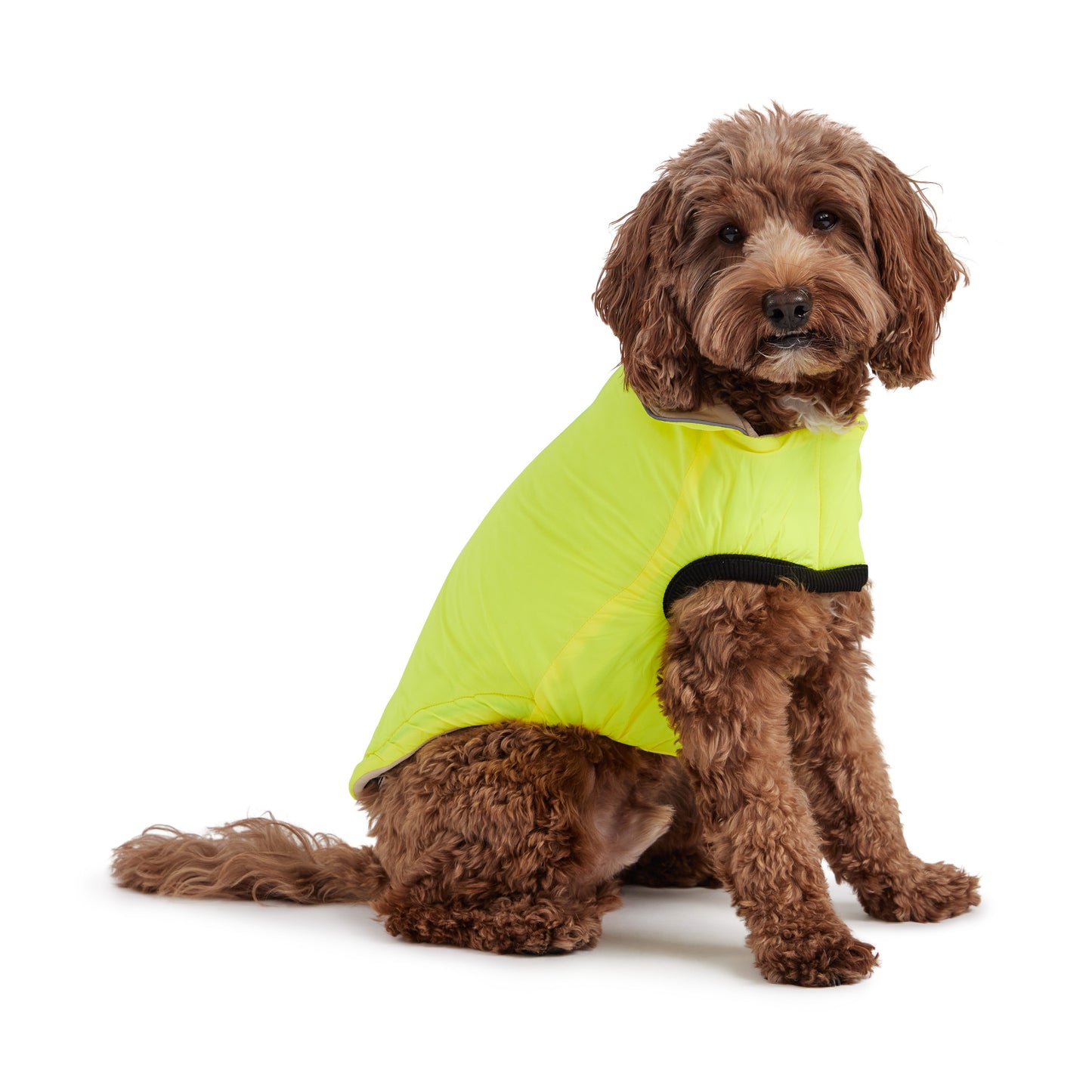 Reversible Chalet Dog Jacket – 2-in-1 Waterproof, Sand/Yellow