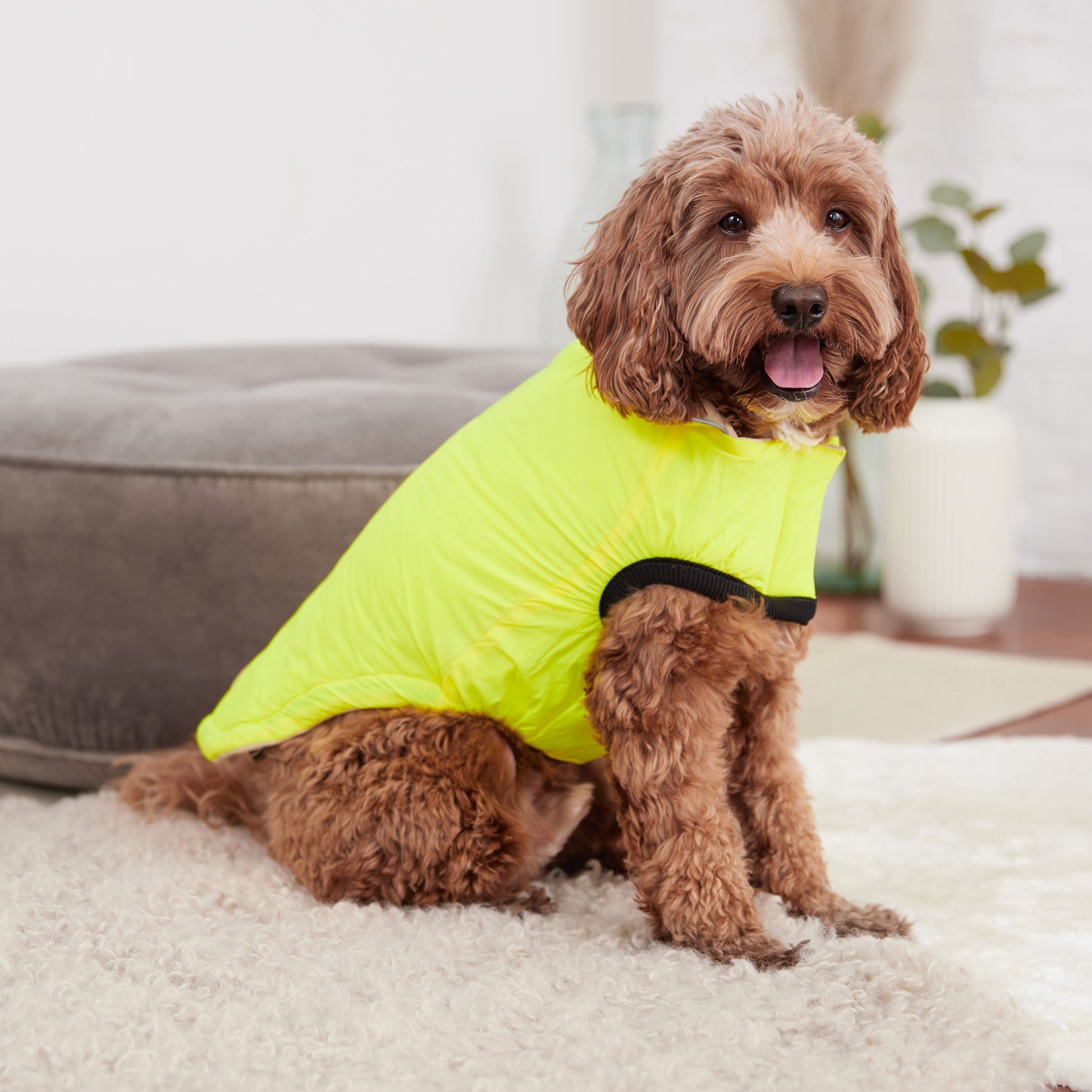 Reversible Chalet Dog Jacket – 2-in-1 Waterproof, Sand/Yellow