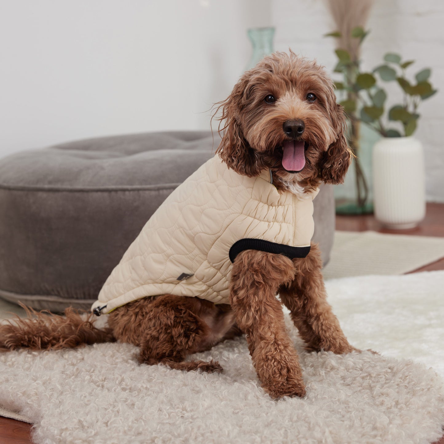 Reversible Chalet Dog Jacket – 2-in-1 Waterproof, Sand/Yellow