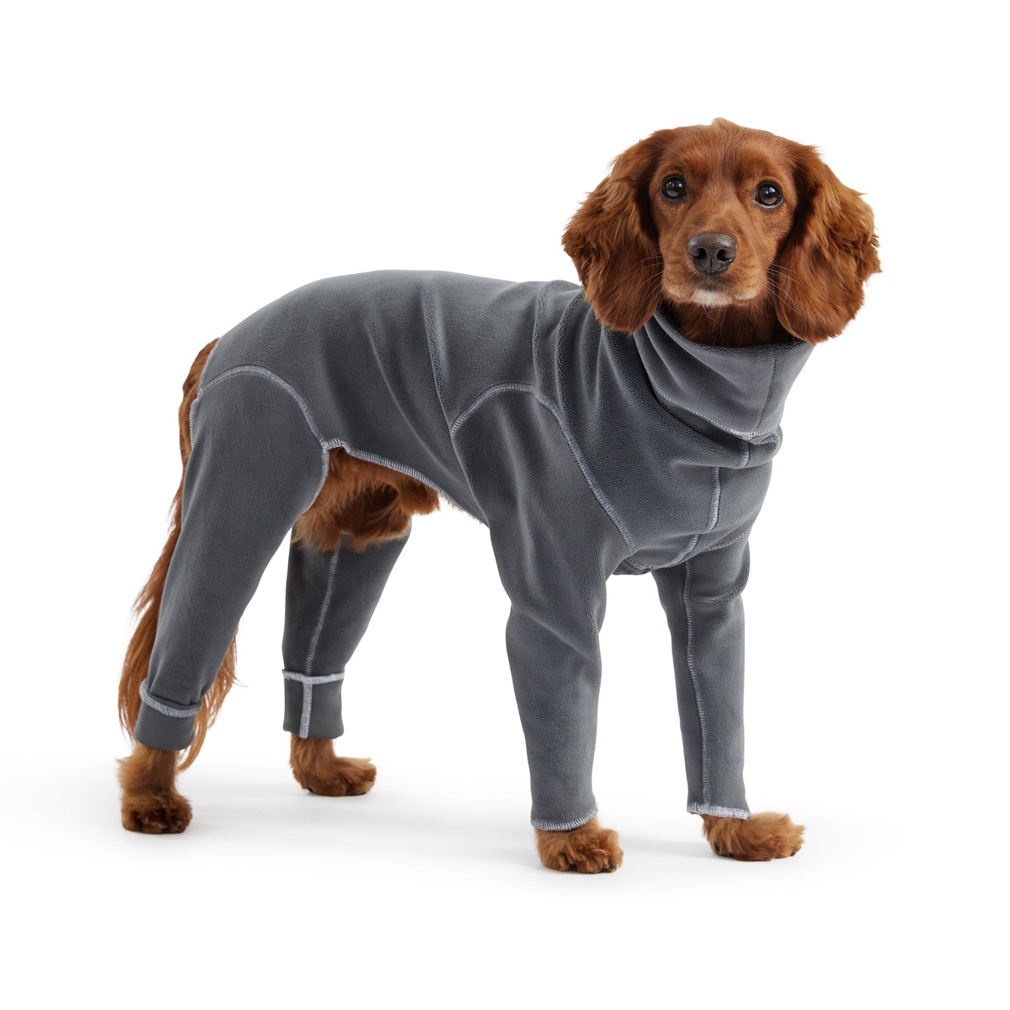 Gondola Dog Onesie – Charcoal | Full-Body Fleece