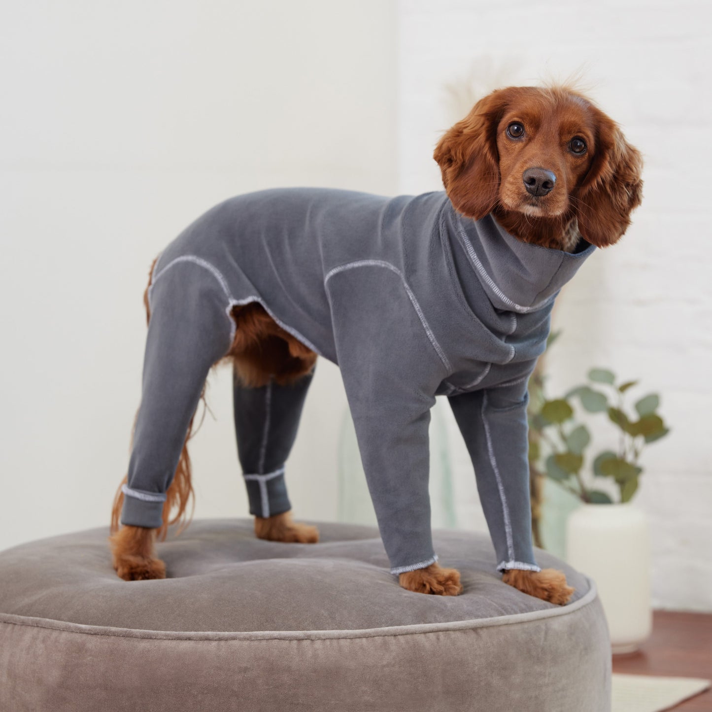 Gondola Dog Onesie – Charcoal | Full-Body Fleece