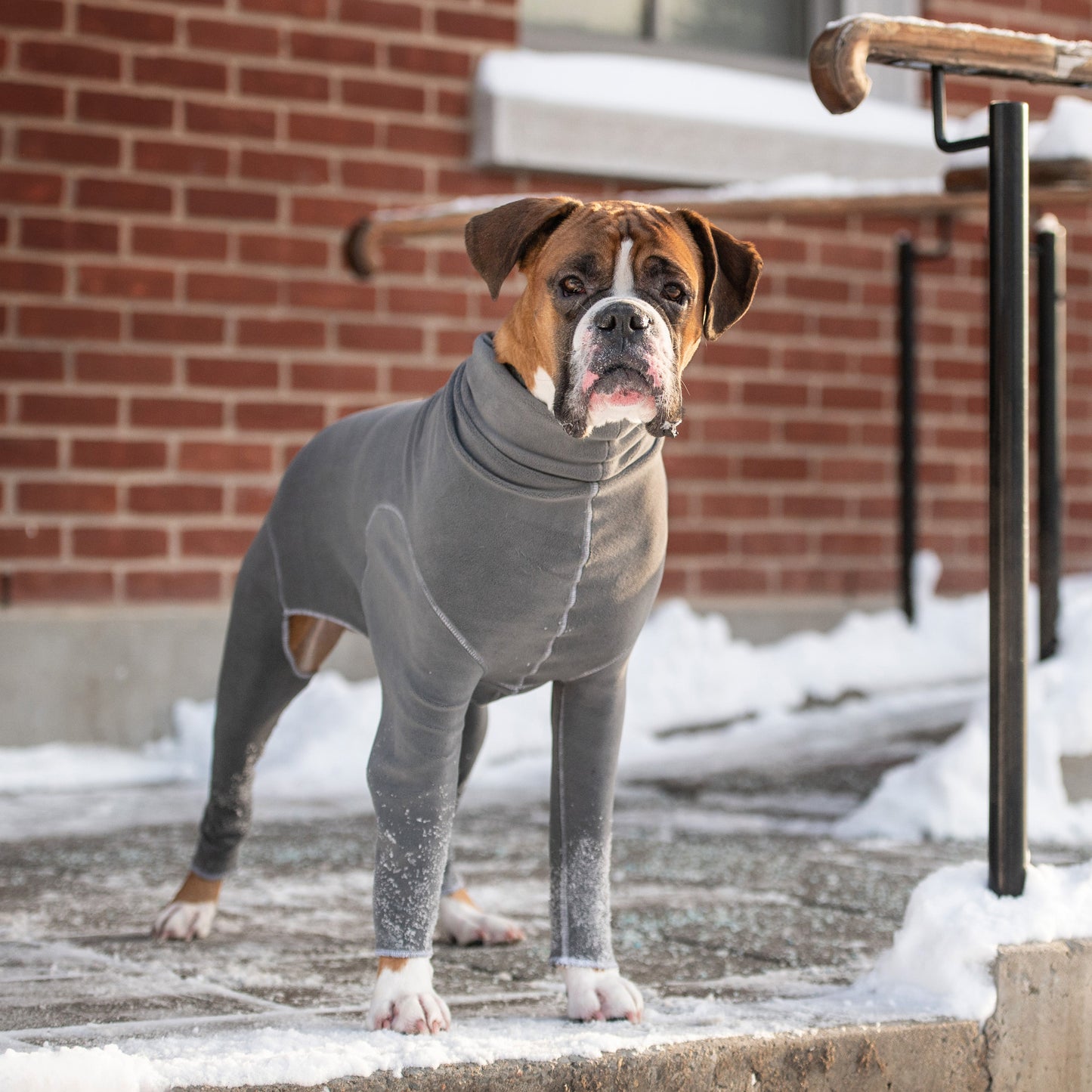 Gondola Dog Onesie – Charcoal | Full-Body Fleece