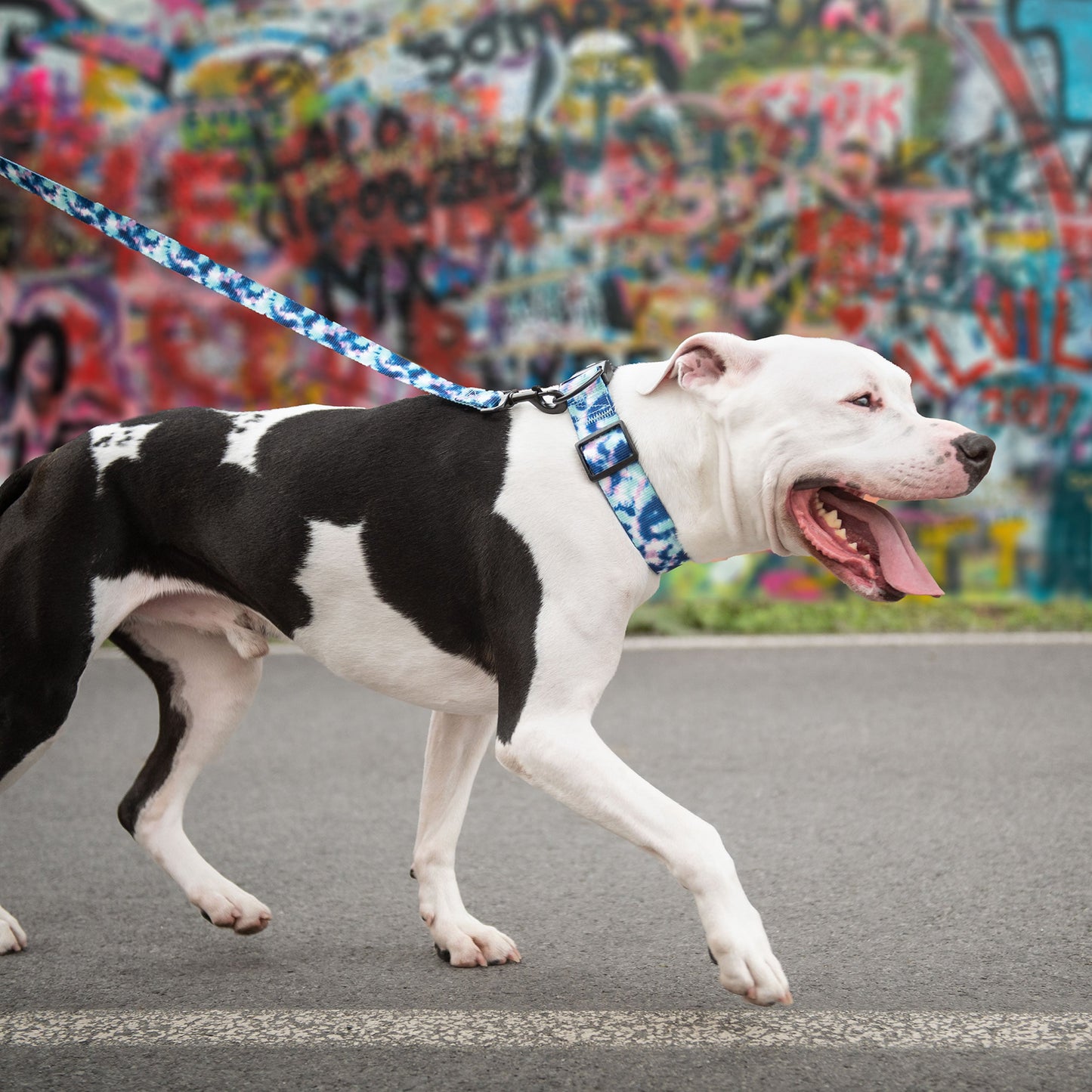 Tie Dye Printed Dog Collar – Adjustable Nylon, Fun & Durable