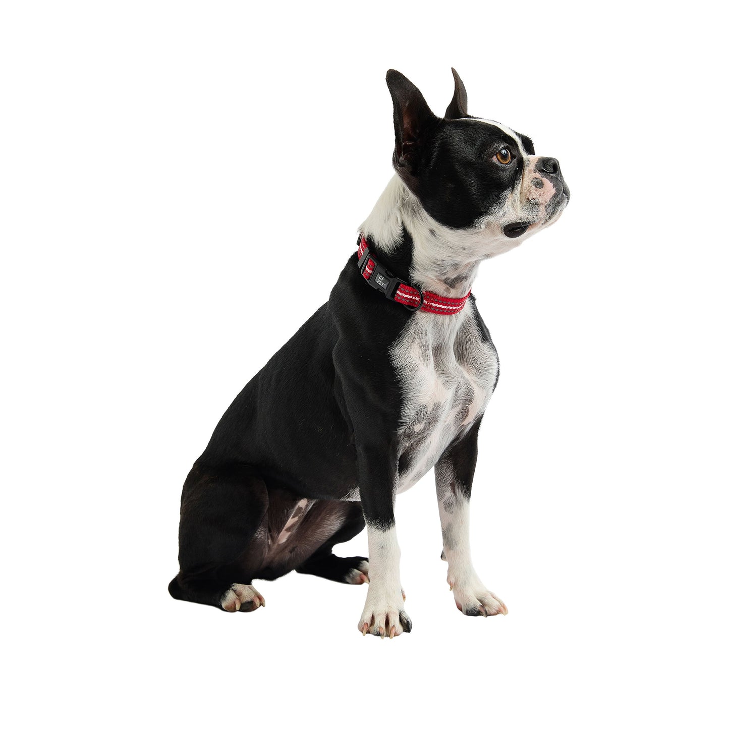 Reflective Dog Collar – Adjustable Nylon, Red