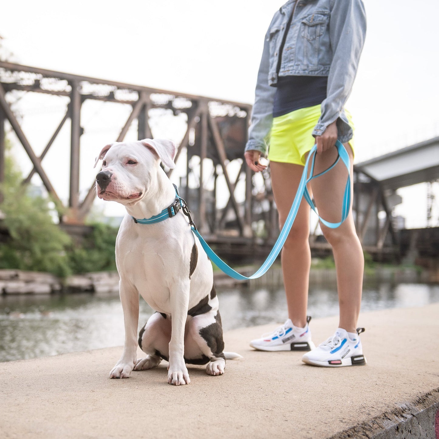 Reflective Dog Collar – Adjustable Nylon, Neon Blue