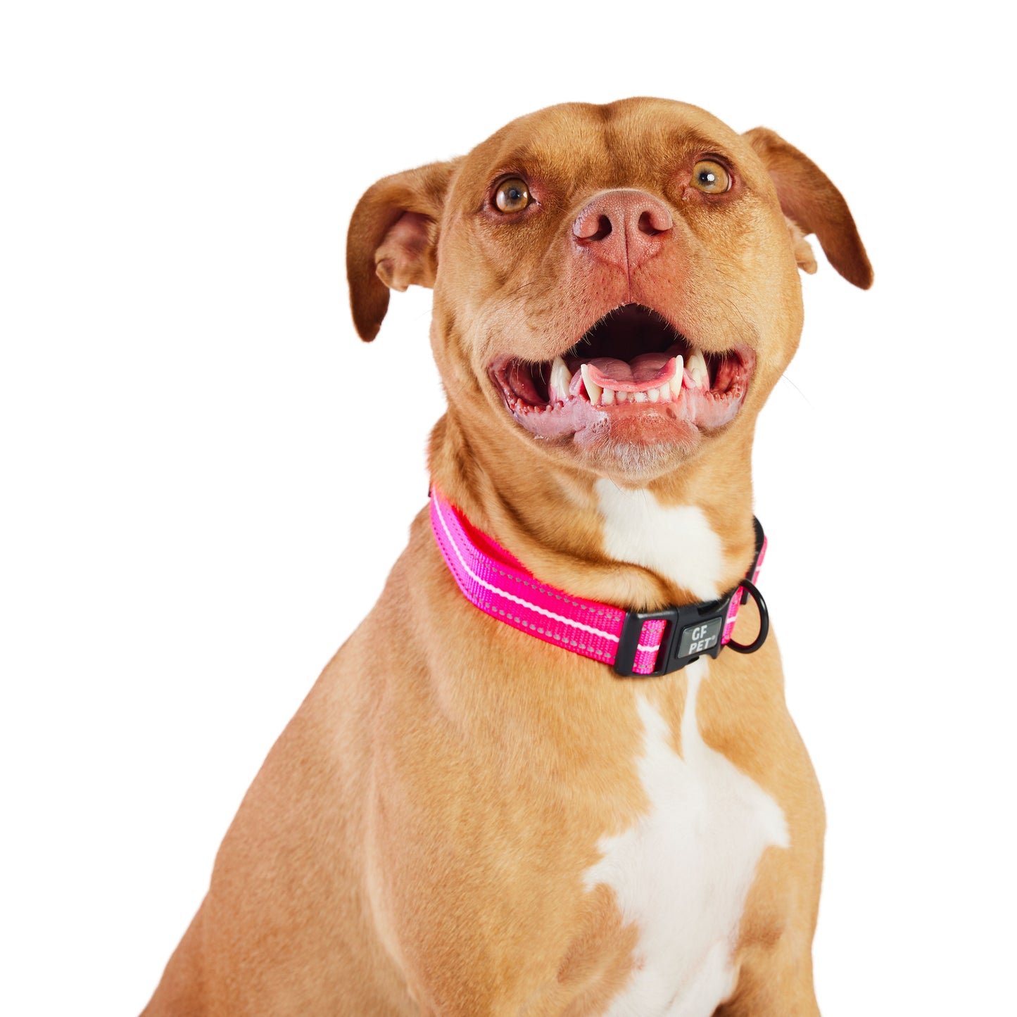 Dog Collar – Reflective High Visibility Pink