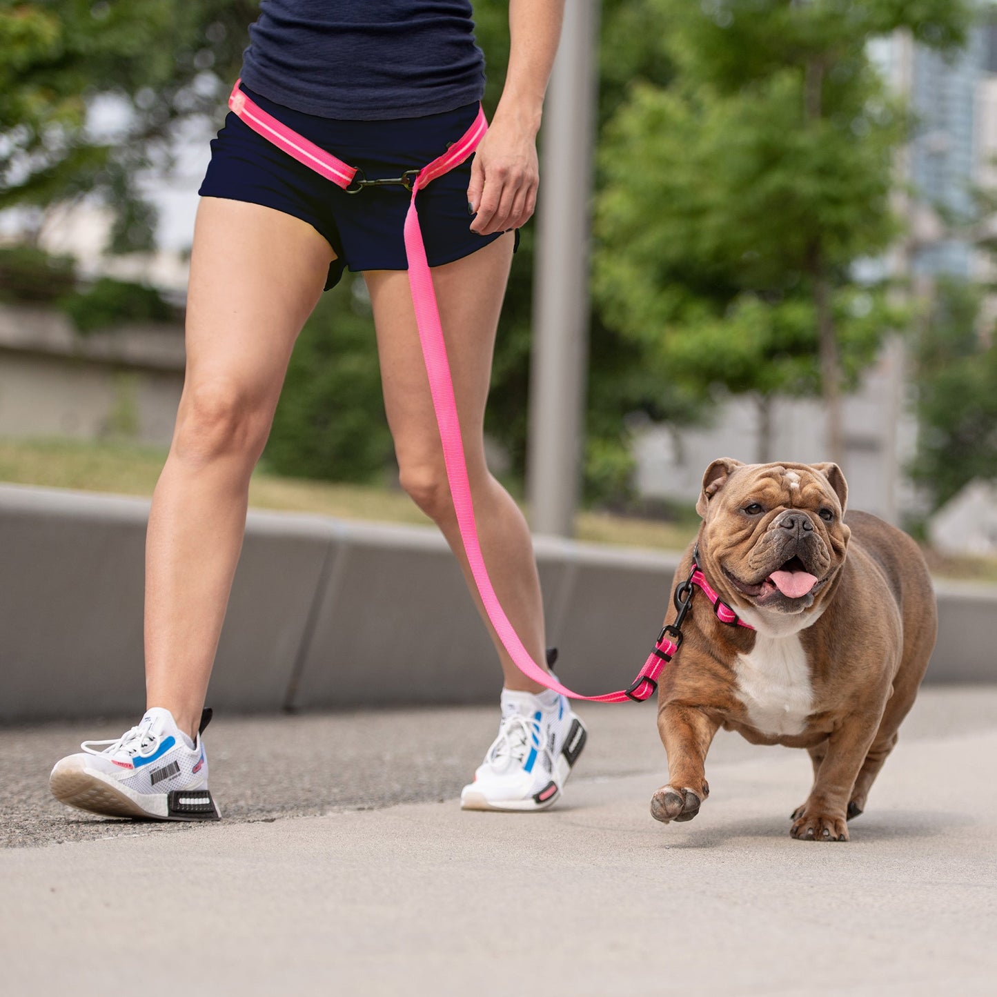 EEZY-6 Reflective Dog Leash – 6-in-1 Adjustable, Neon Pink