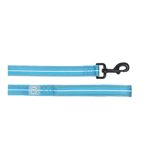 Reflective Dog Leash – 6 ft High-Visibility Nylon, Neon Blue