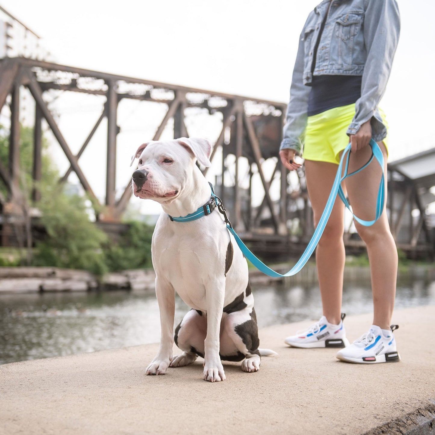 Reflective Dog Leash – 6 ft High-Visibility Nylon, Neon Blue