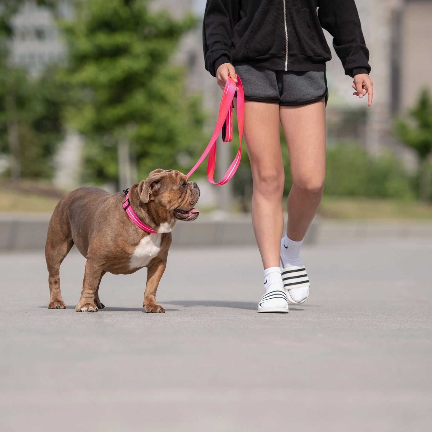 Dog Leash – Reflective High Visibility Pink