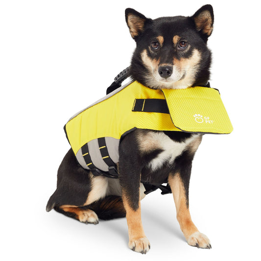 Dog Life Vest – High Buoyancy Safety for Water Play
