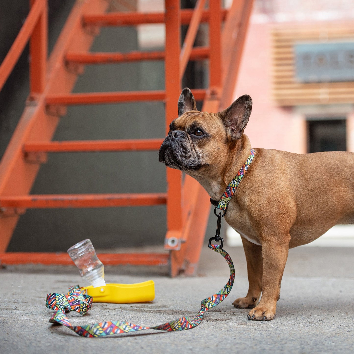 Portable Dog Water Bottle – Clip-On Foldout Silicone Bowl