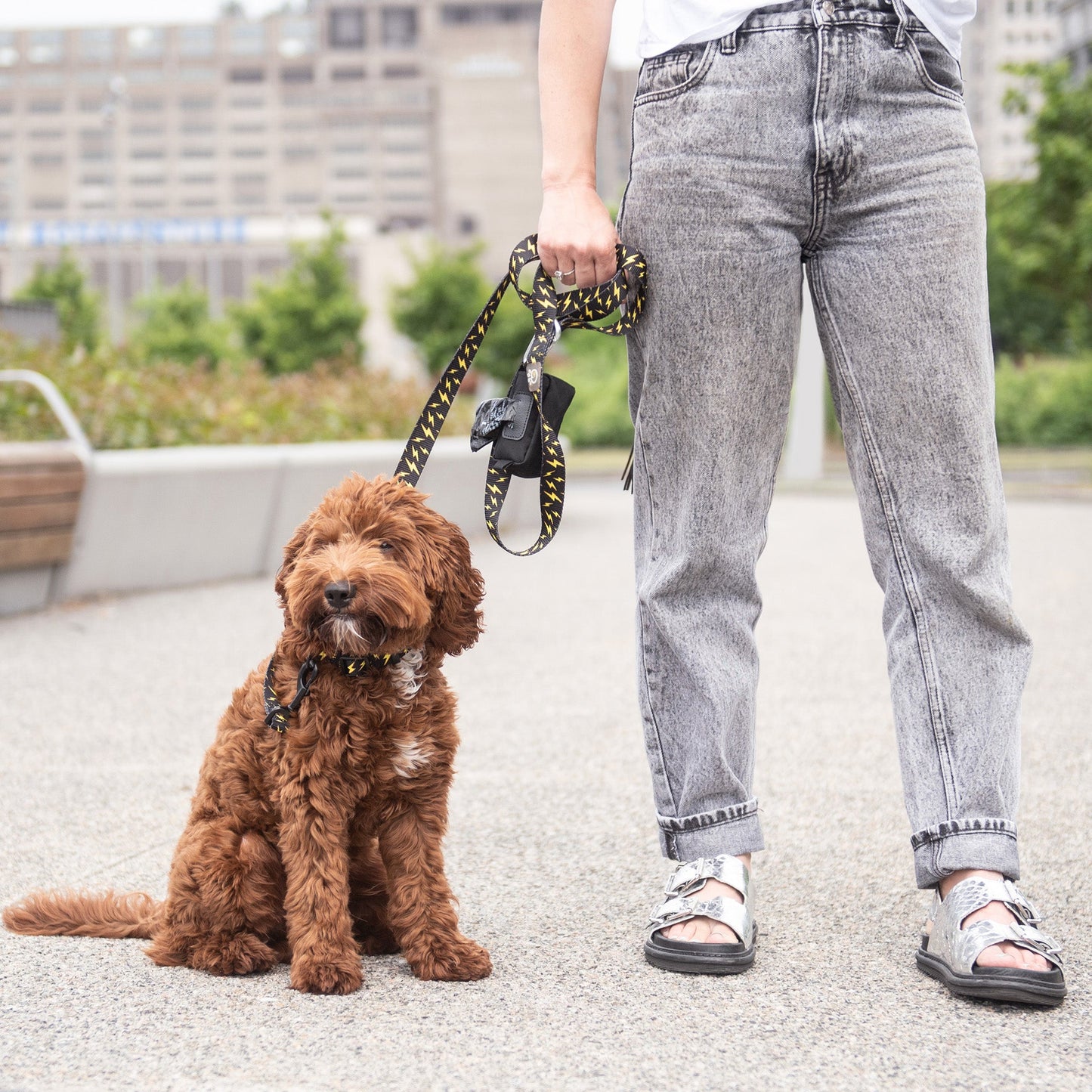 Black Soft-Shell Dog Waste Bag Dispenser – Clip