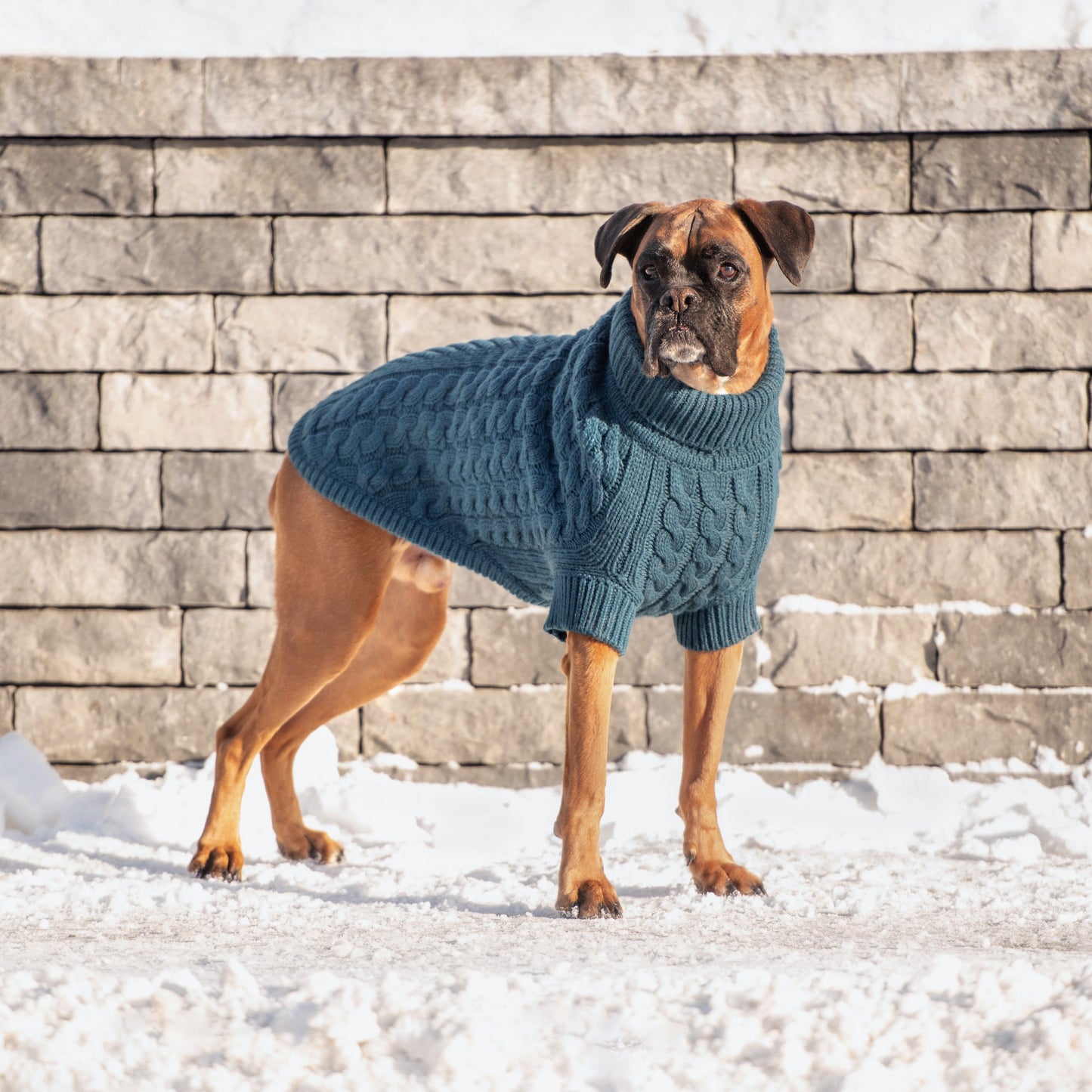 Dog Sweater – Chalet Cable Knit Dark Teal