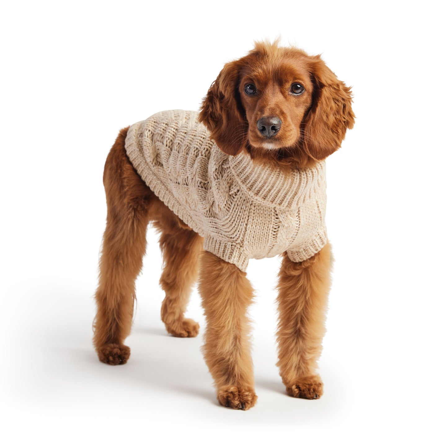 Dog Sweater – Chalet Cable Knit Oatmeal