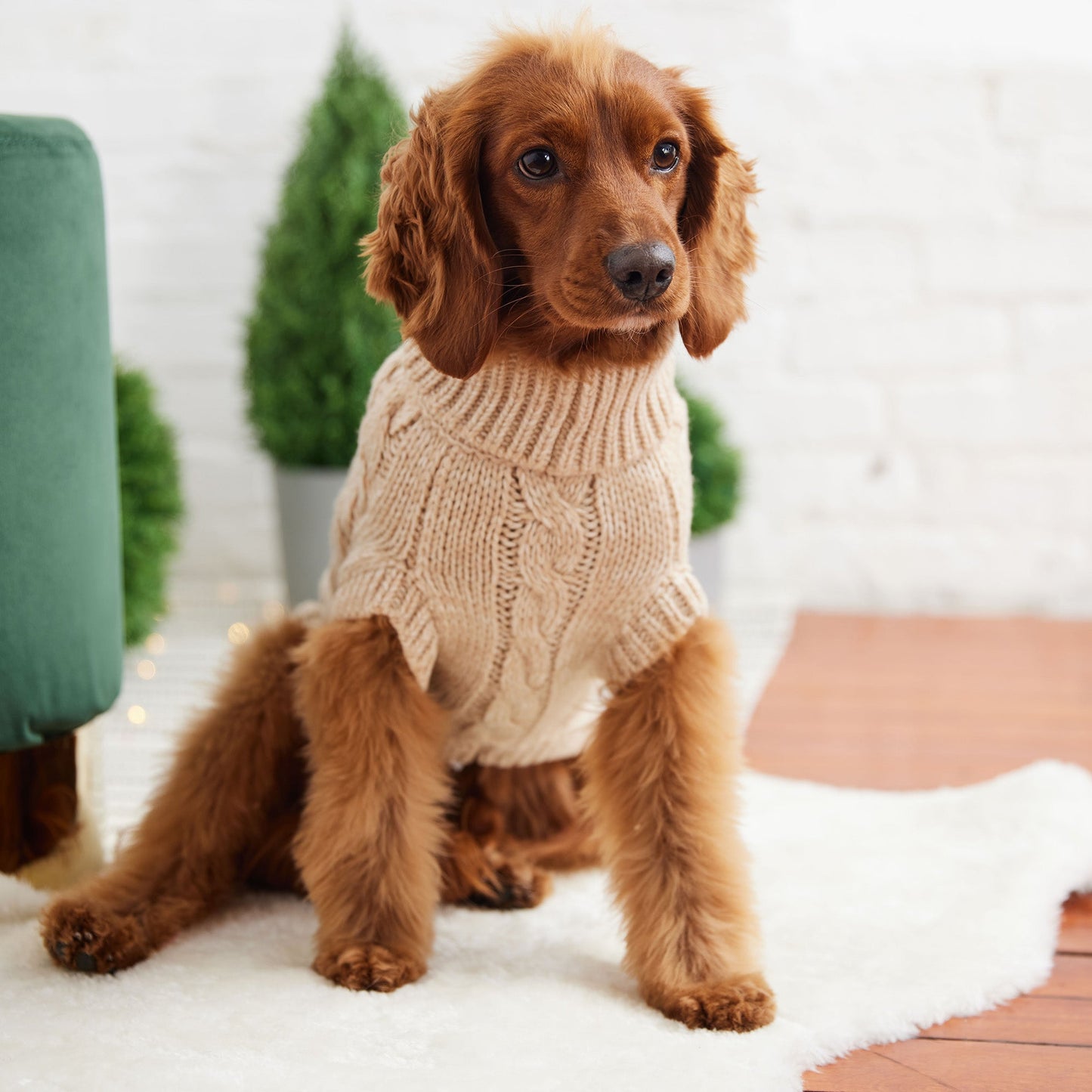 Dog Sweater – Chalet Cable Knit Oatmeal