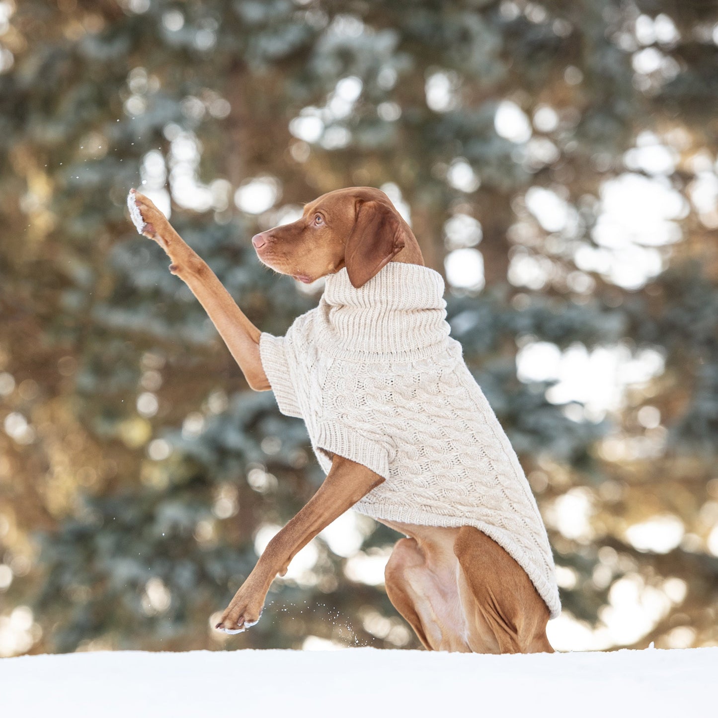 Dog Sweater – Chalet Cable Knit Oatmeal