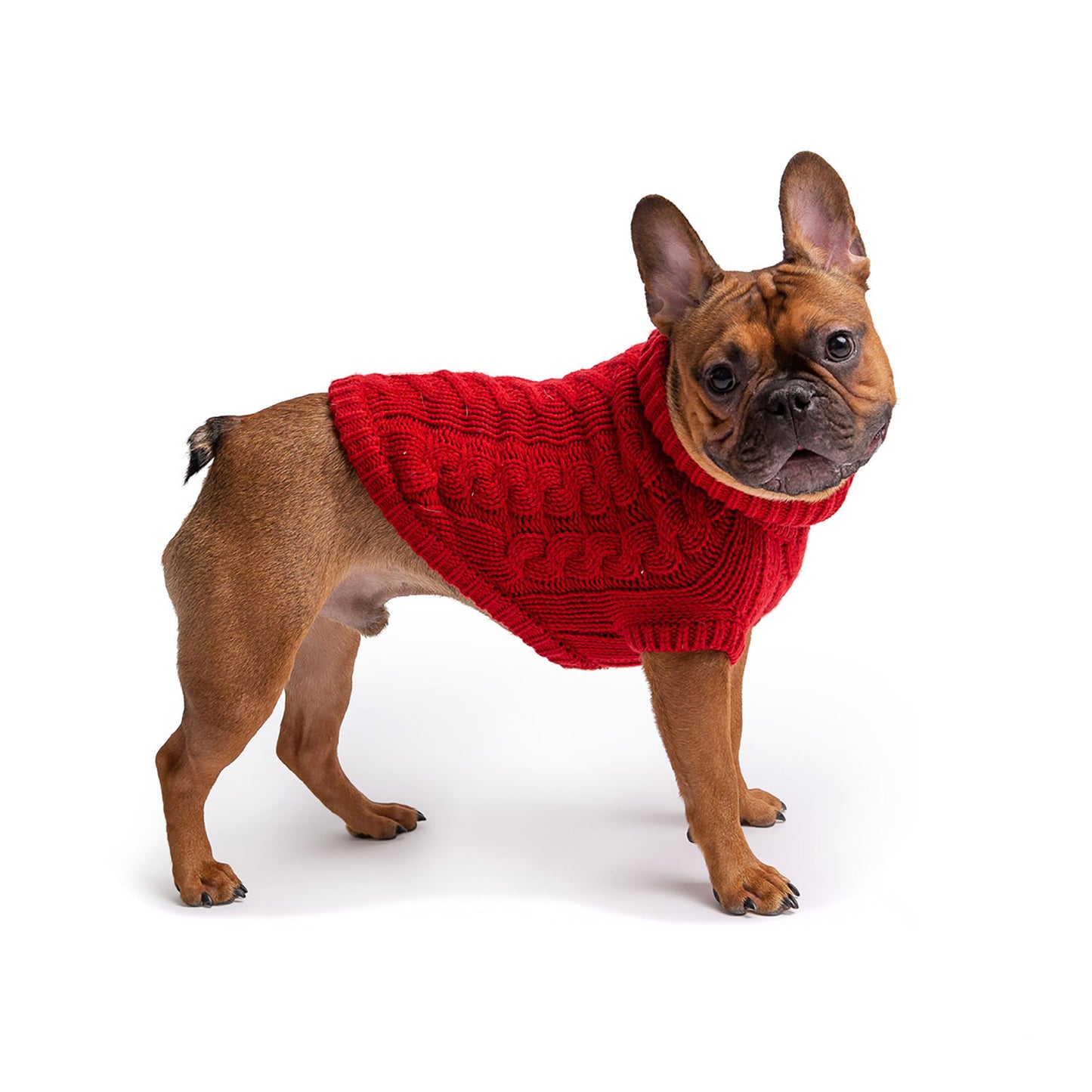 Dog Sweater – Chalet Chunky Cable Knit Red