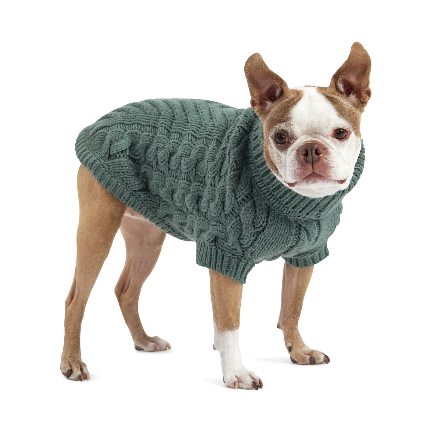 Dog Sweater – Chalet Chunky Cable Sage