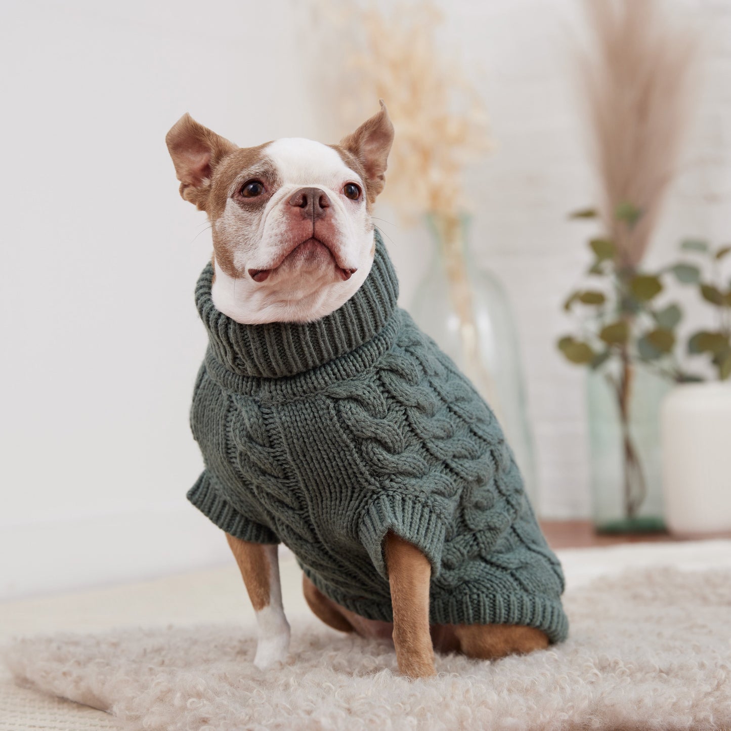 Dog Sweater – Chalet Chunky Cable Sage