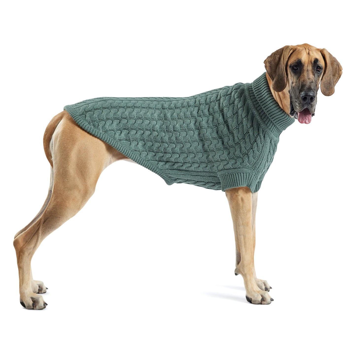 Dog Sweater – Chalet Chunky Cable Sage