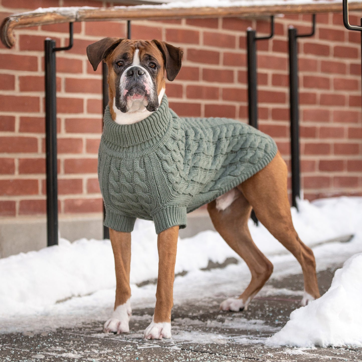 Dog Sweater – Chalet Chunky Cable Sage