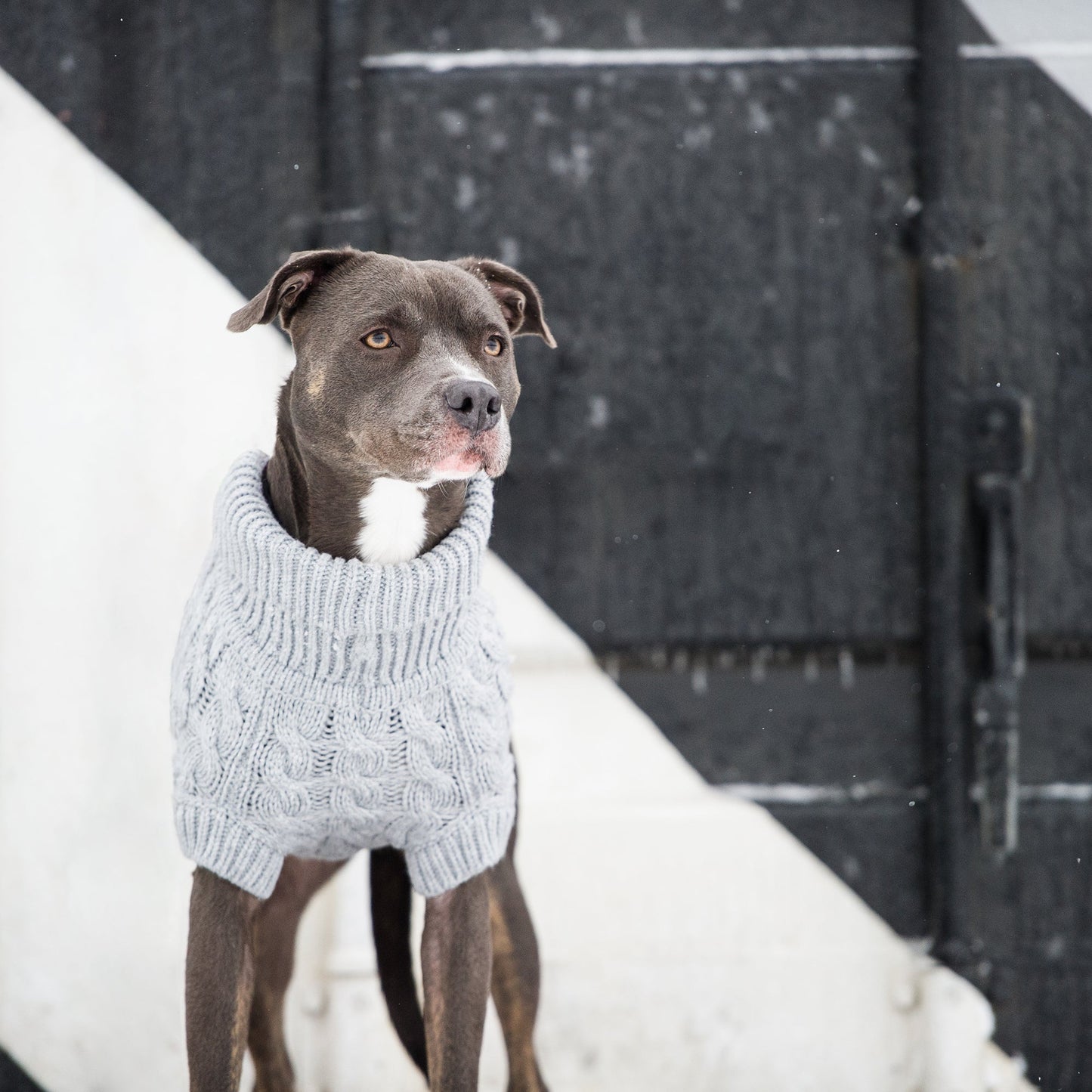 Dog Sweater – Chalet Cable Knit Turtleneck Grey