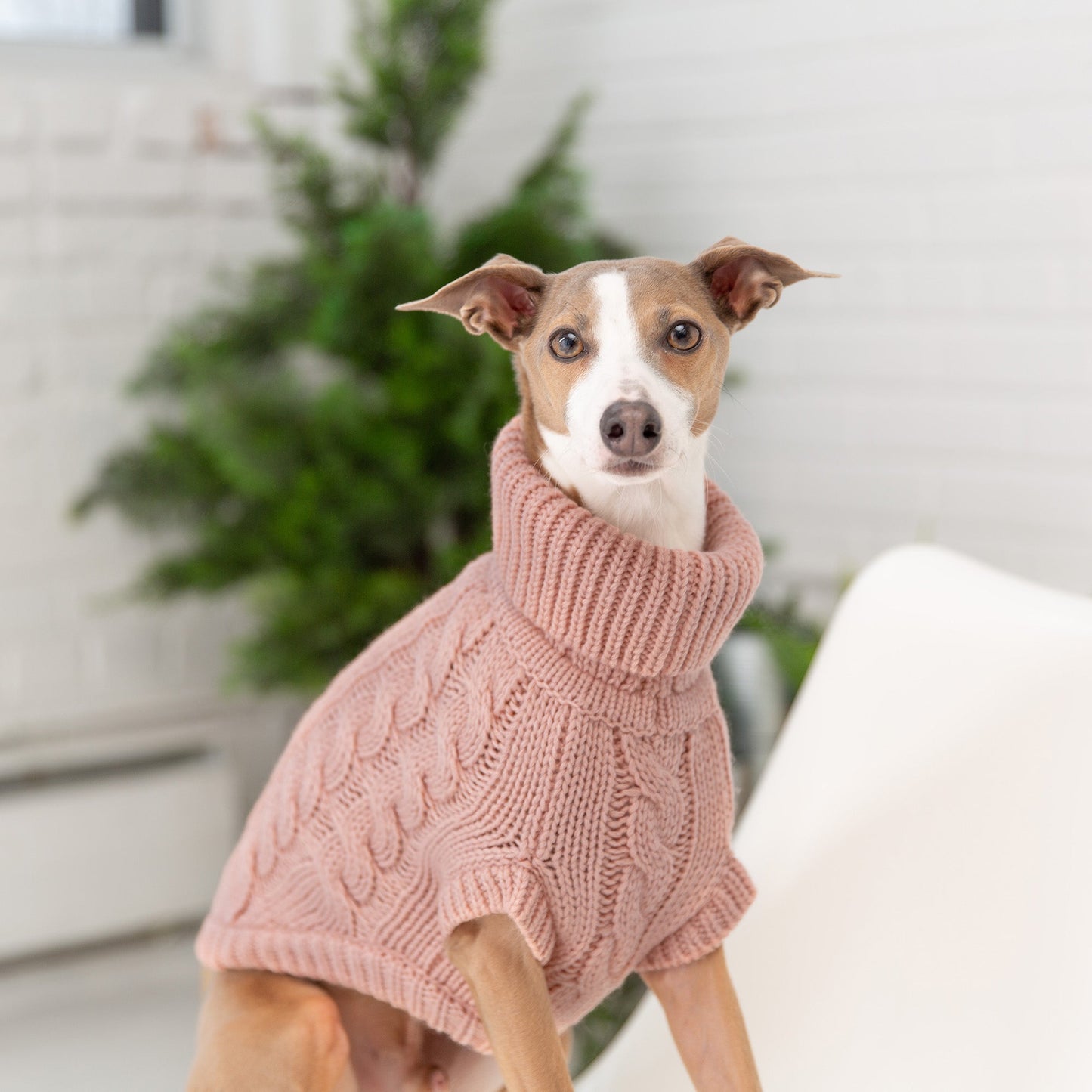 Dog Sweater – Chalet Cable Knit Pink