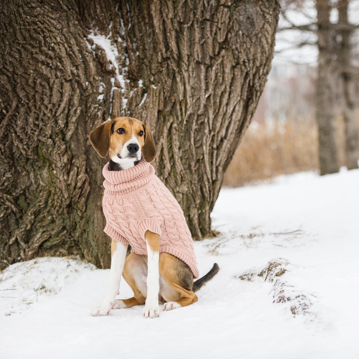 Dog Sweater – Chalet Cable Knit Pink