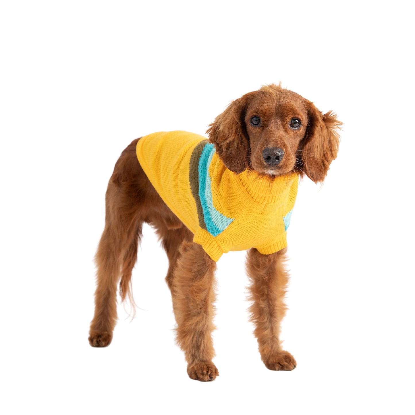 Alpine Dog Sweater – Yellow | Retro Turtleneck