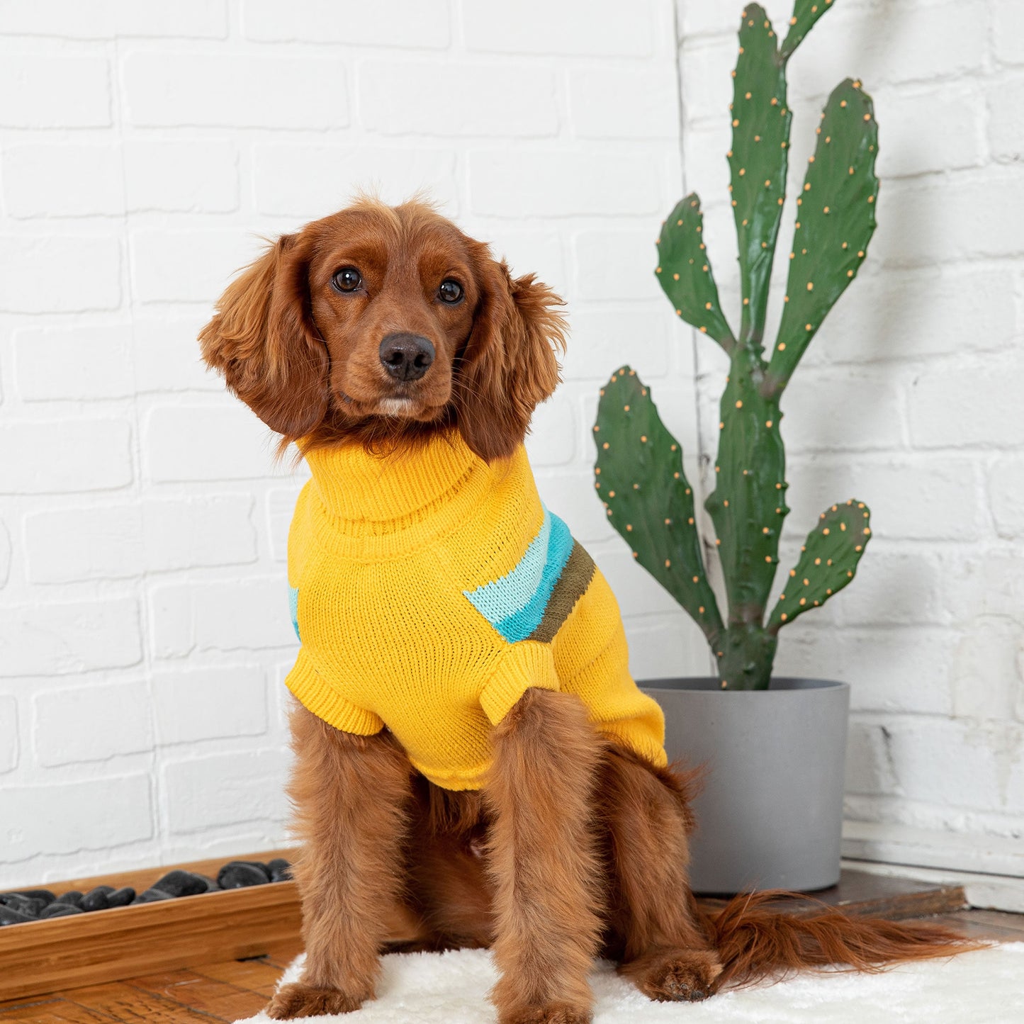 Alpine Dog Sweater – Yellow | Retro Turtleneck