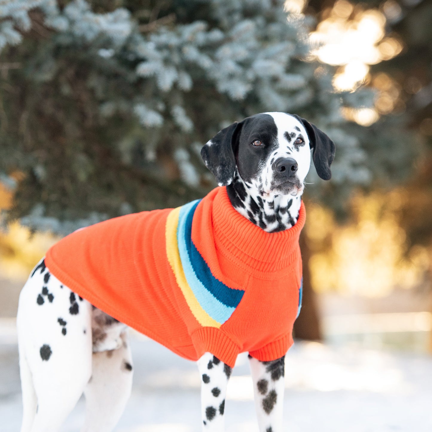 Dog Sweater – Alpine Retro Chevron Orange