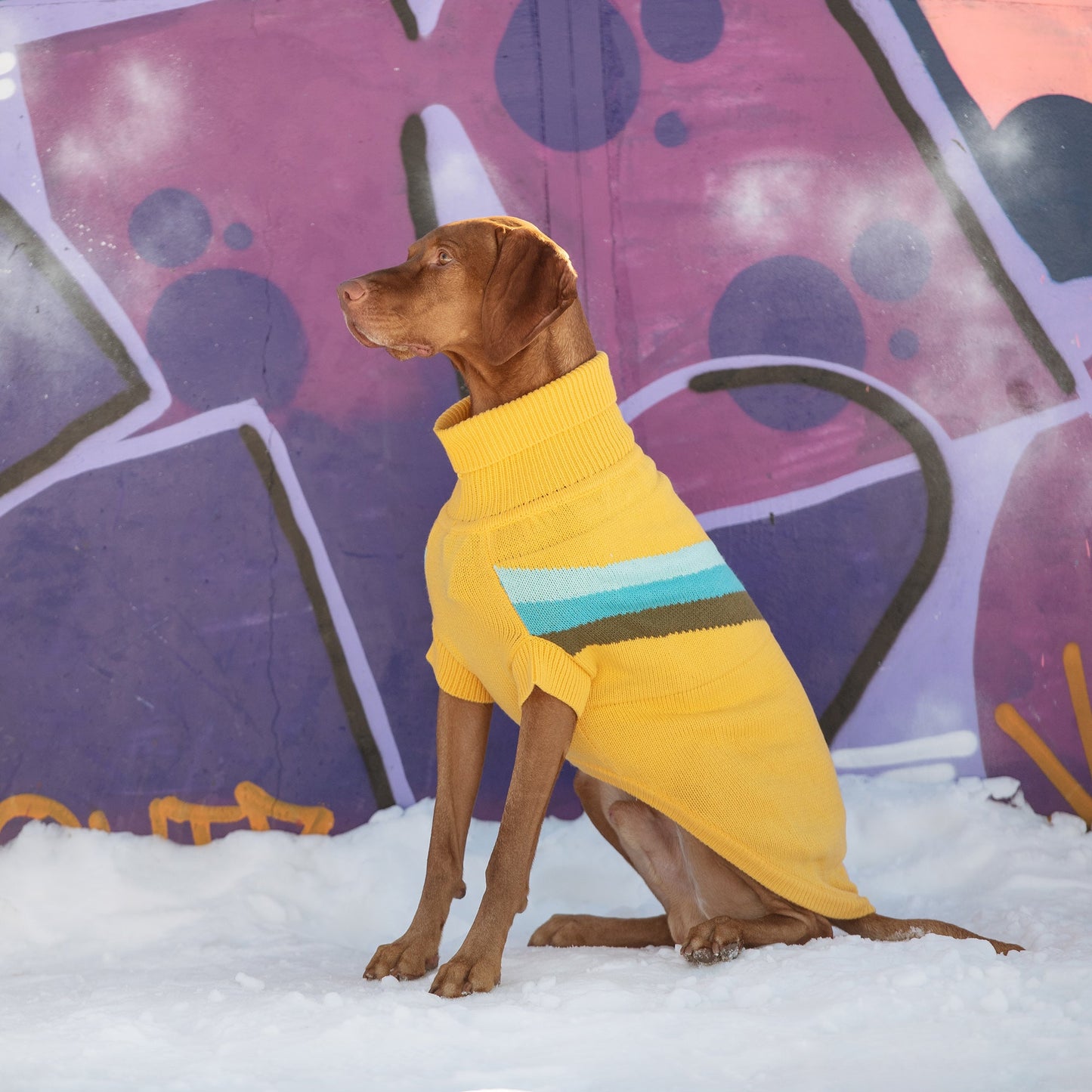 Alpine Dog Sweater – Yellow | Retro Turtleneck