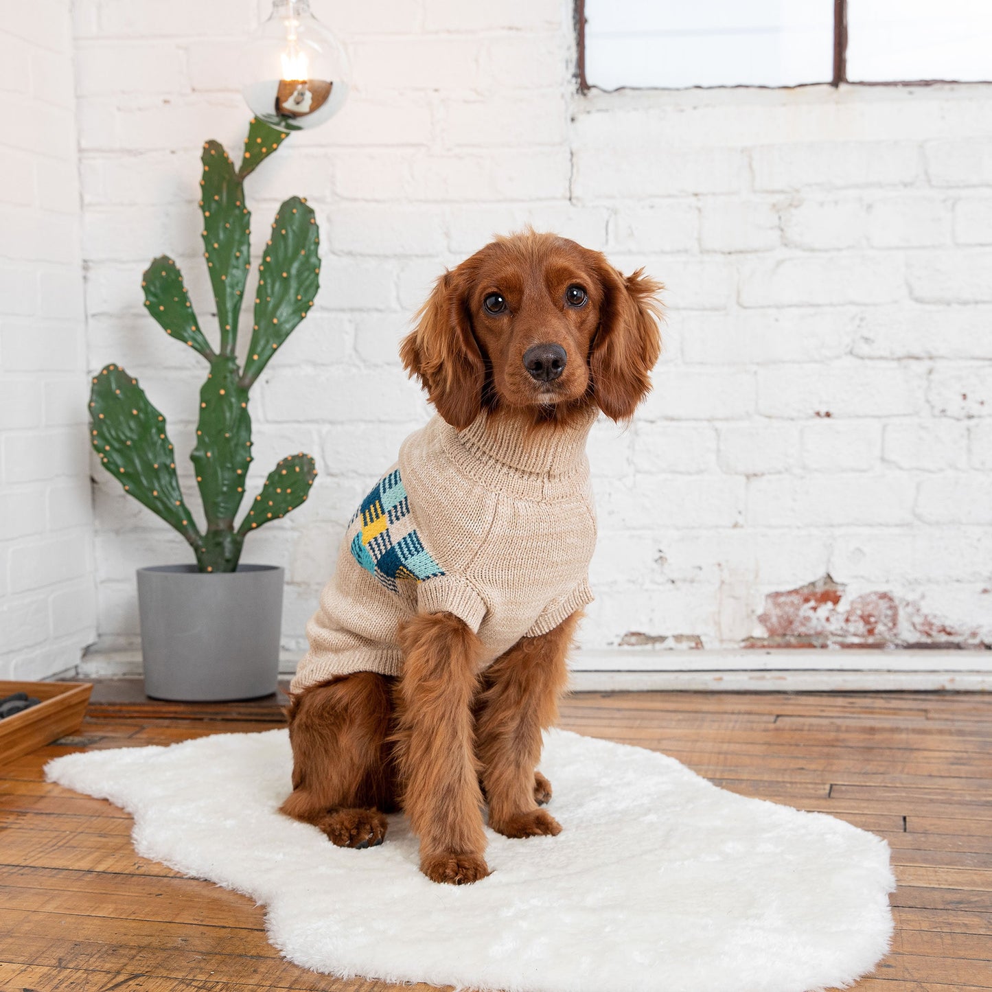Winter Sailor Dog Turtleneck Sweater – Retro Patchwork, Oatmeal Mix