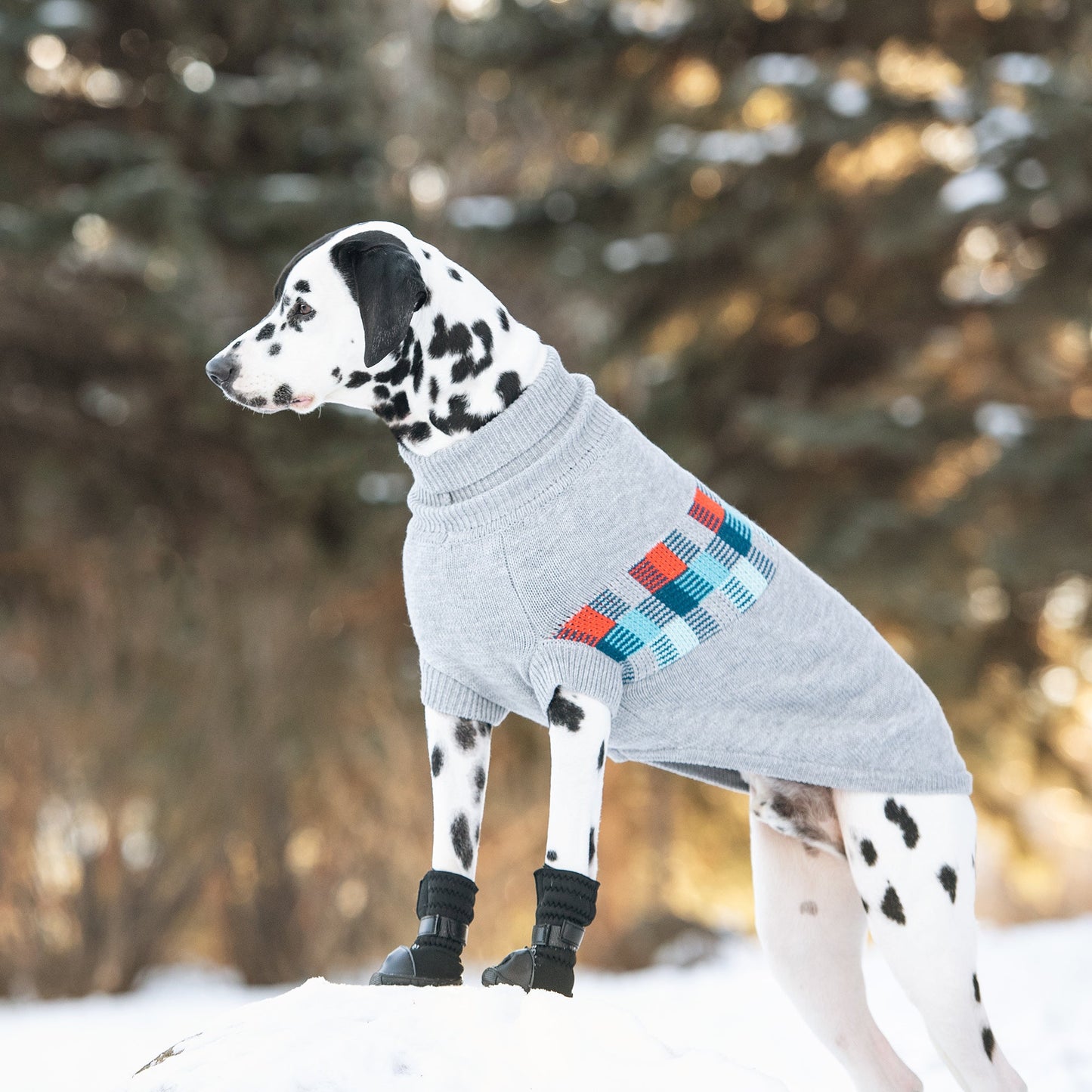 Winter Sailor Dog Sweater – Grey Mix | Retro Turtleneck