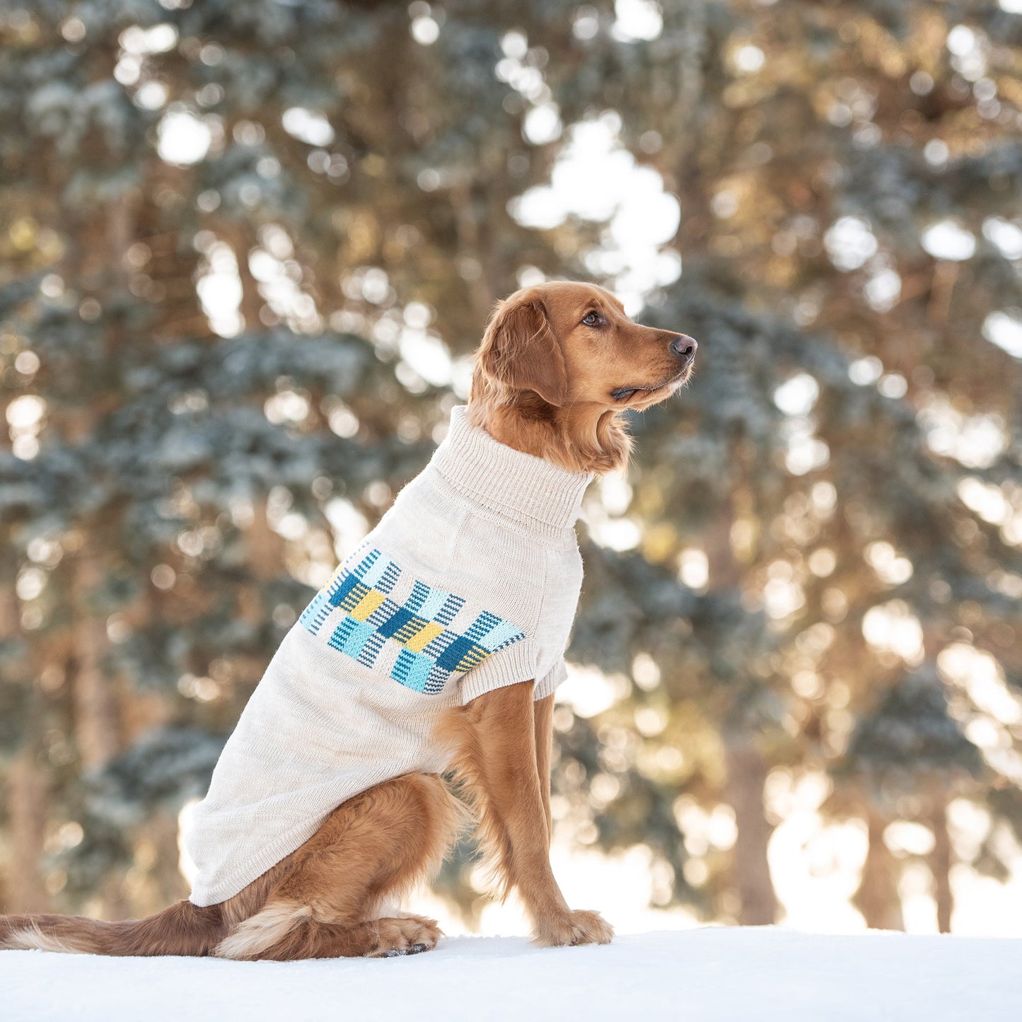 Winter Sailor Dog Turtleneck Sweater – Retro Patchwork, Oatmeal Mix