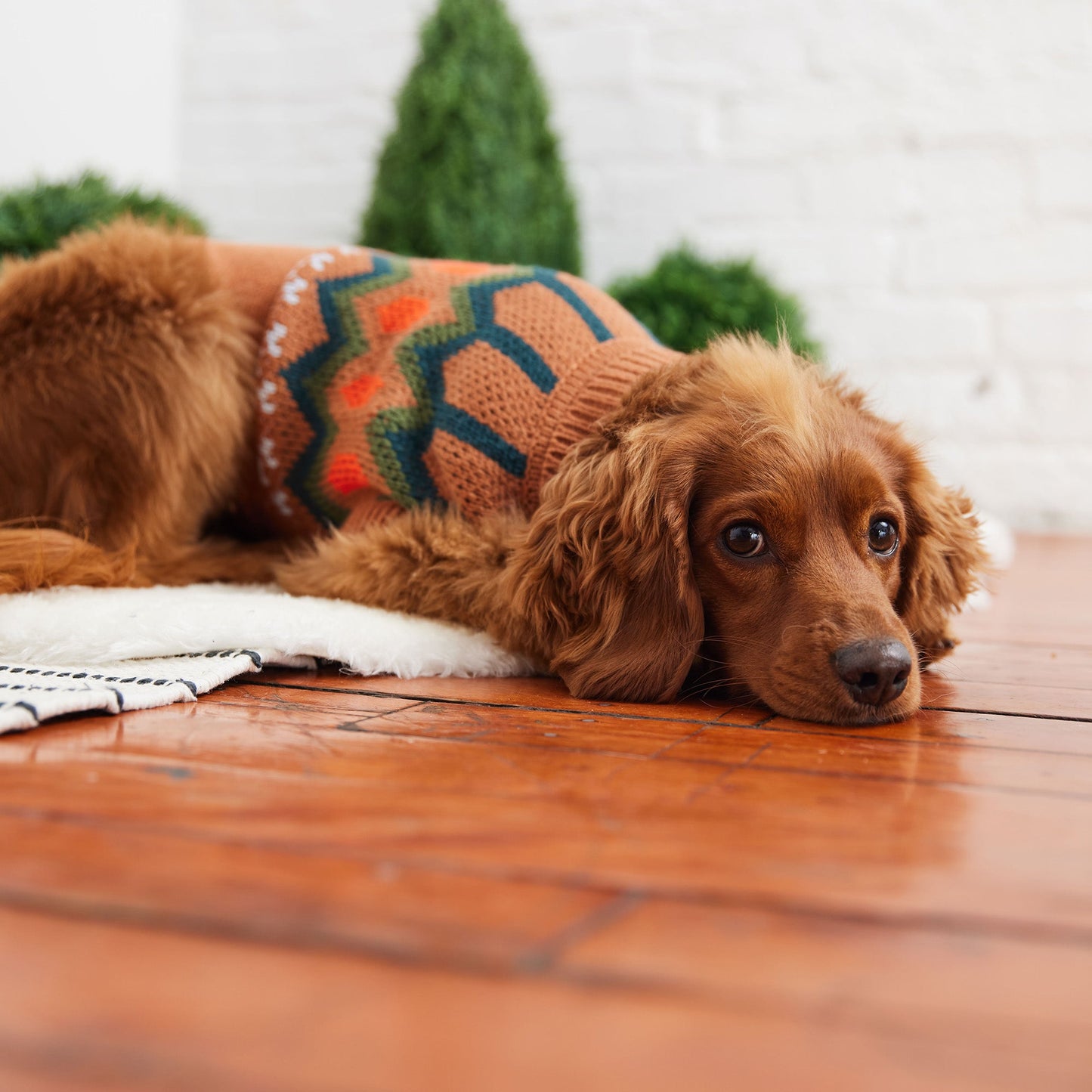 Dog Sweater – Heritage Vintage Native Design