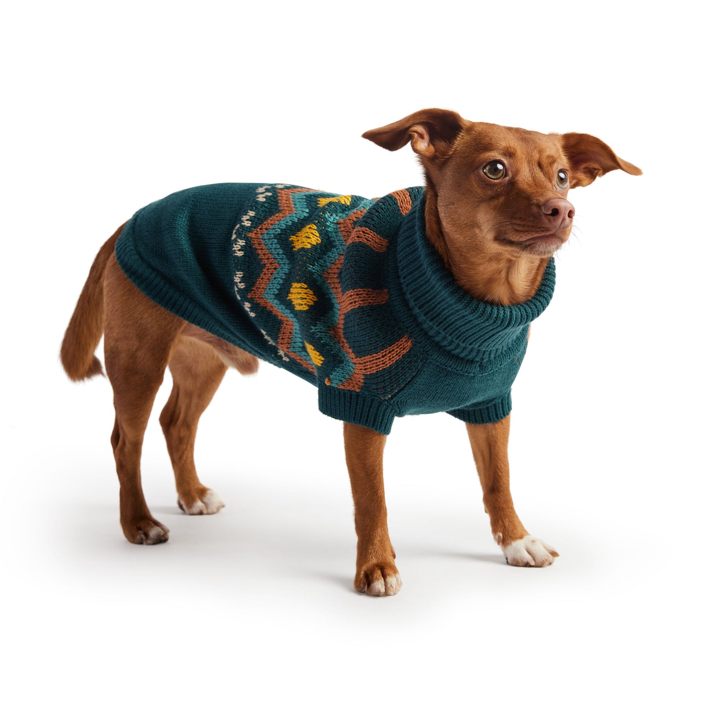 Heritage Dog Sweater – Teal | Vintage Turtleneck