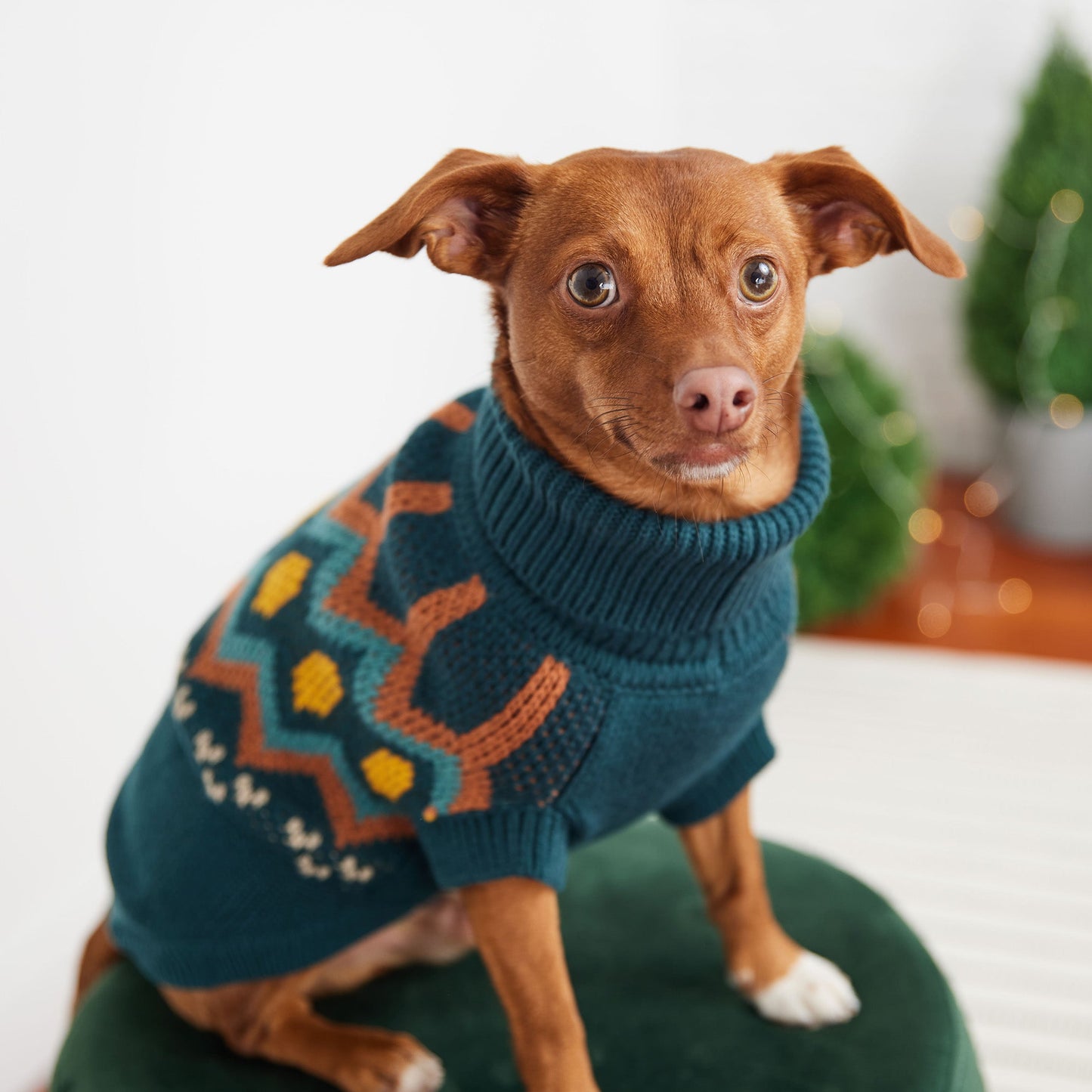 Heritage Dog Sweater – Teal | Vintage Turtleneck