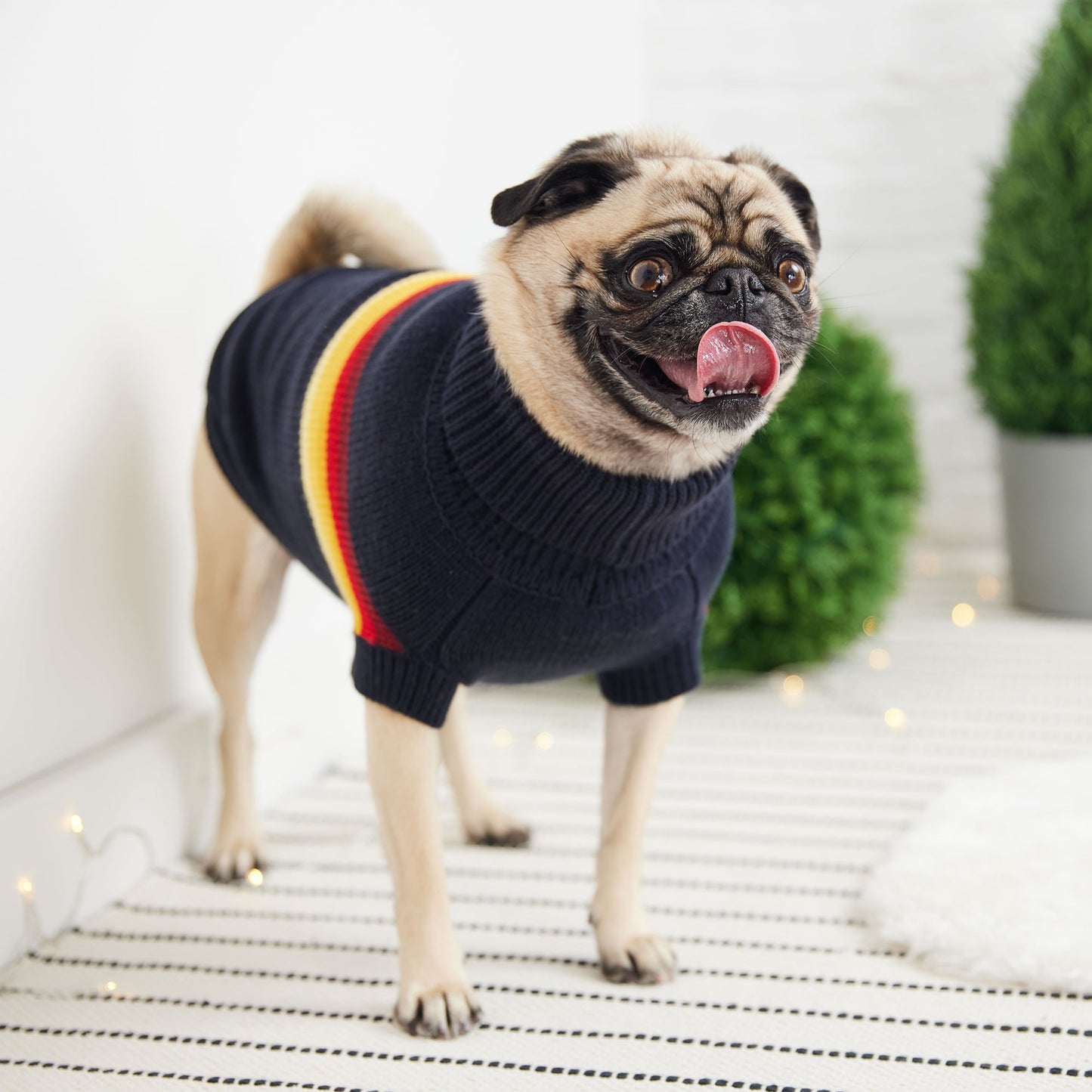 Dog Sweater – Retro Bold Color Line Navy