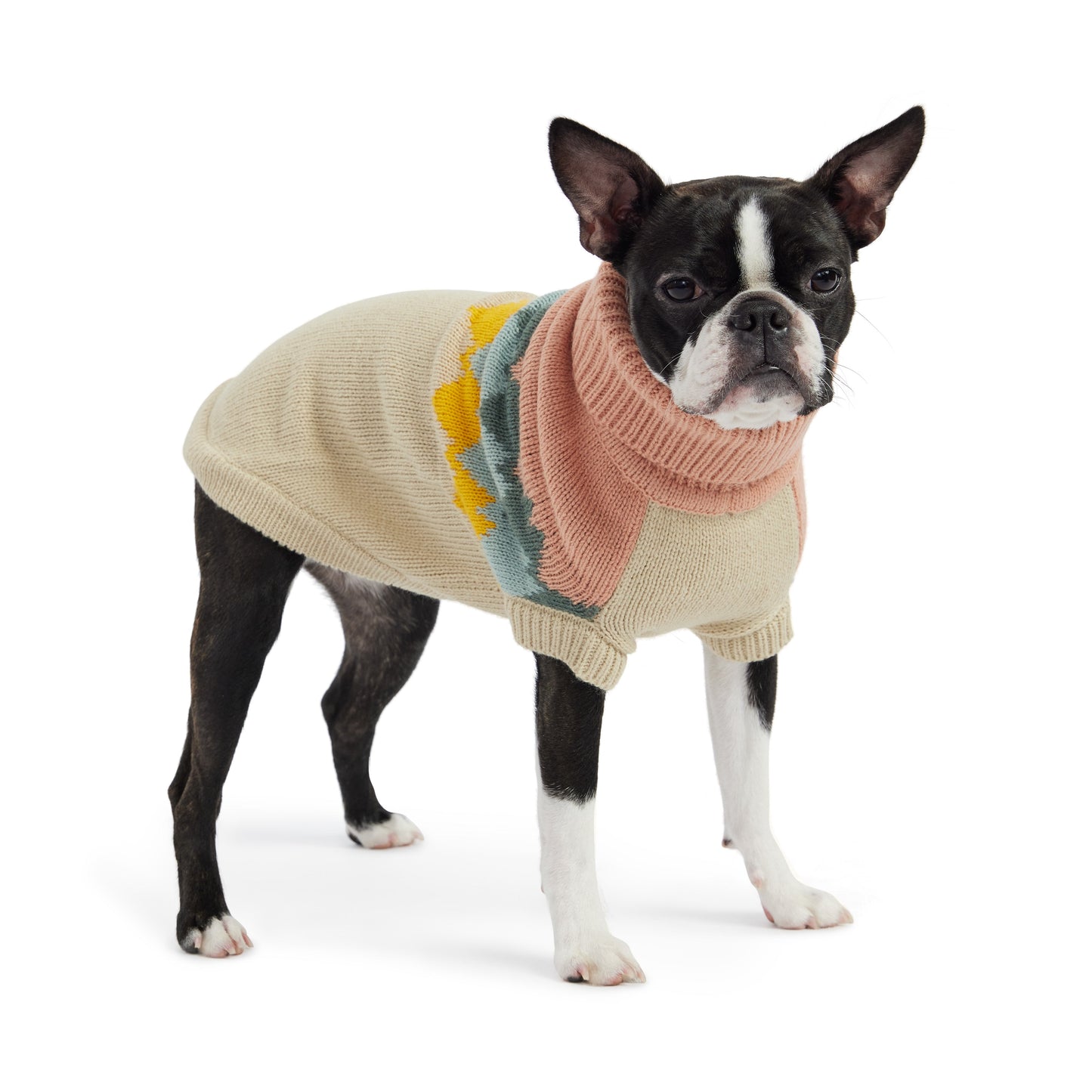 Fireside Dog Sweater – Multi-Knit Turtleneck, Clay