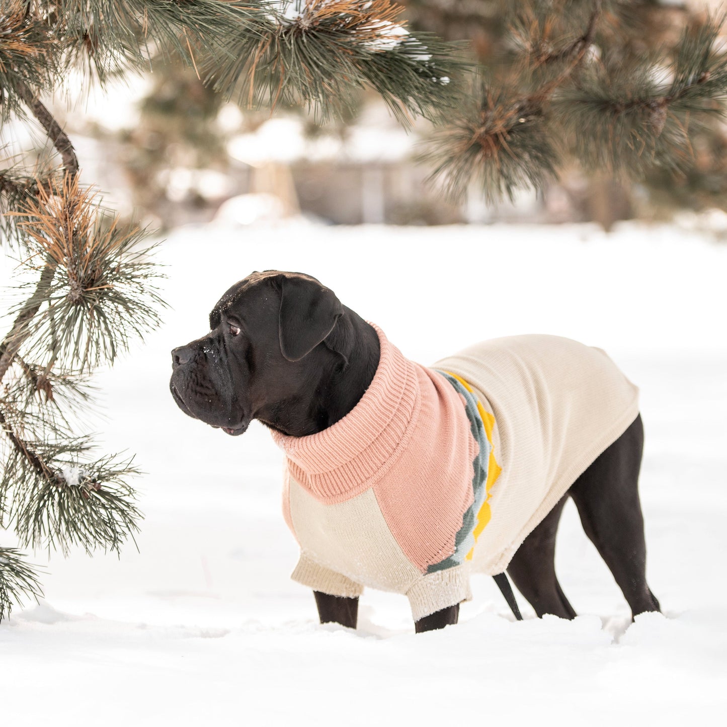 Fireside Dog Sweater – Multi-Knit Turtleneck, Clay