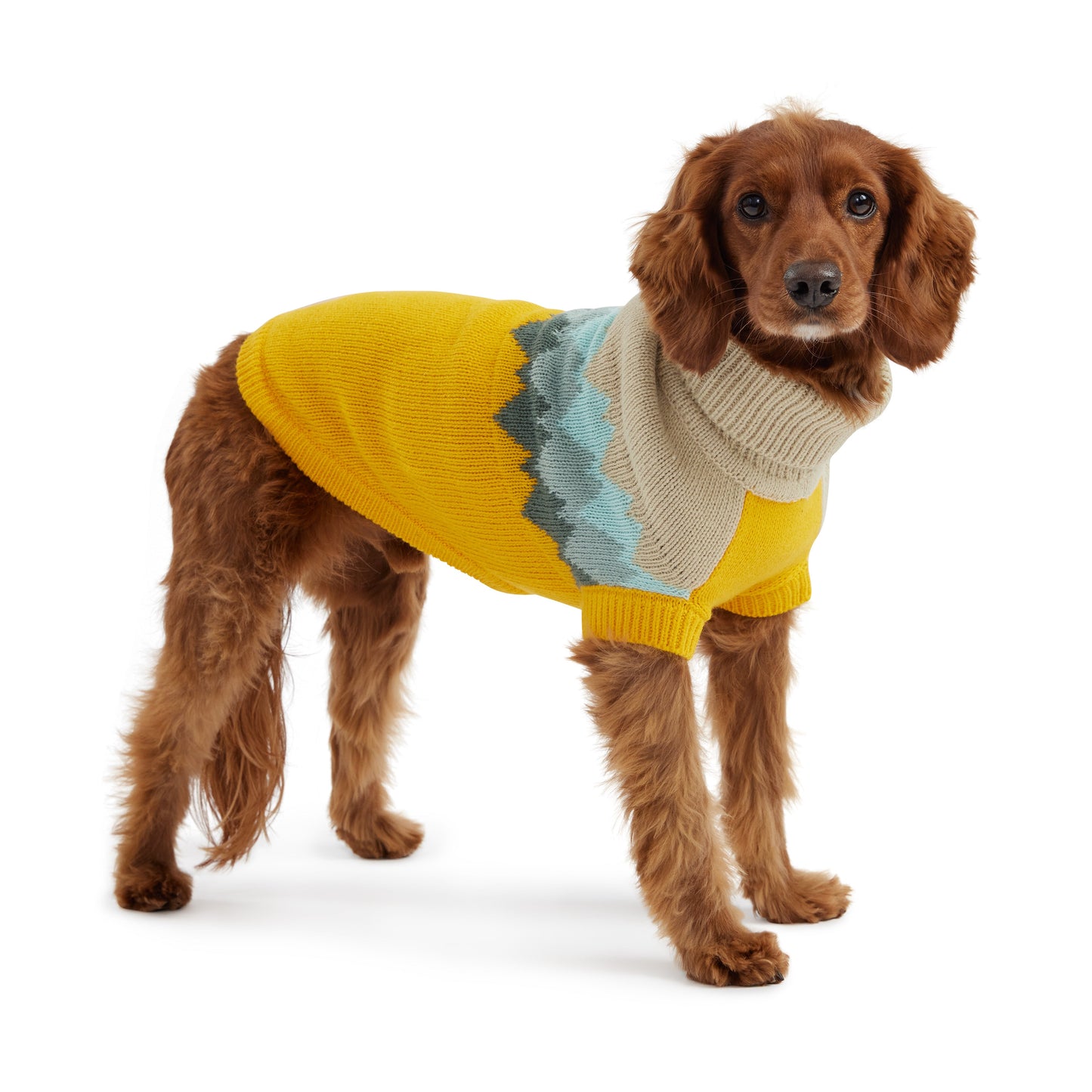 Fireside Dog Sweater – Multi-Knit Turtleneck, Yellow