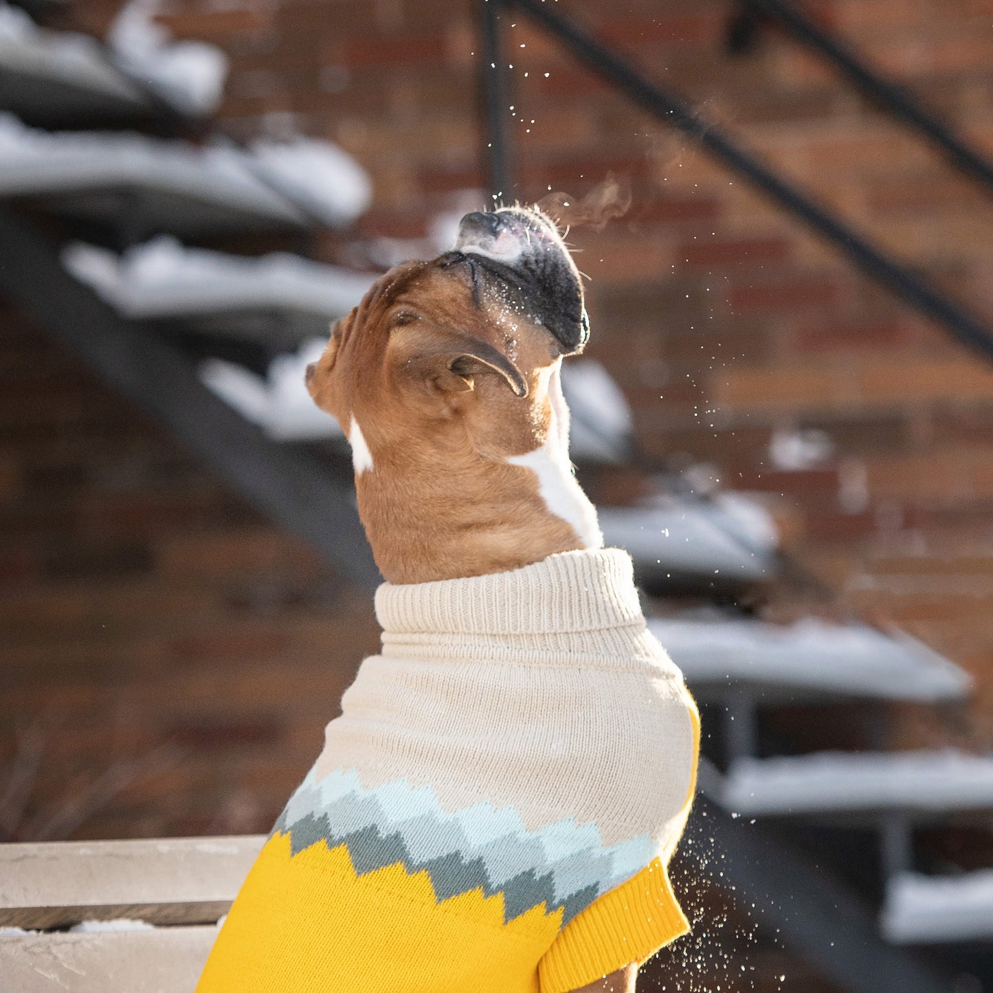 Fireside Dog Sweater – Multi-Knit Turtleneck, Yellow