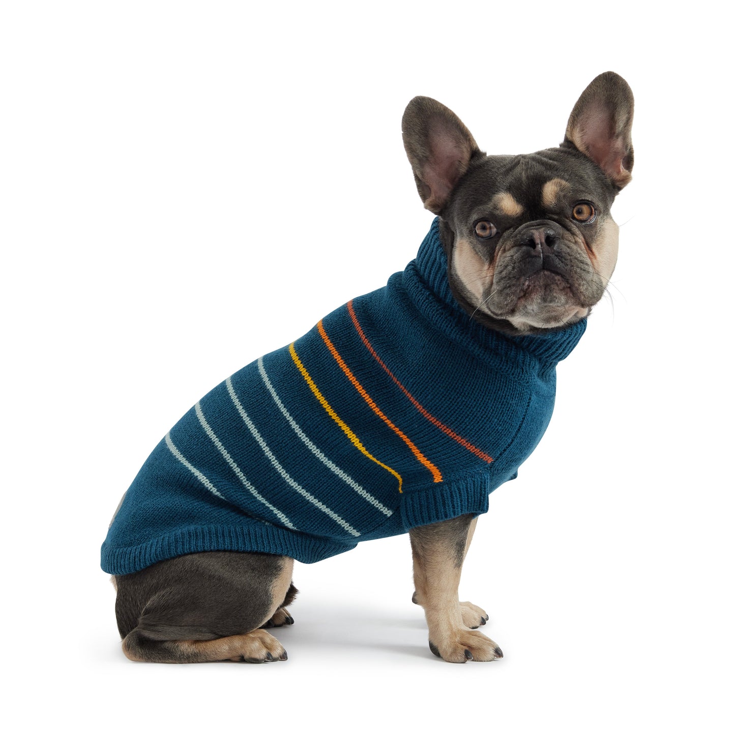 Arctic Dog Sweater – Teal | Ribbed Turtleneck