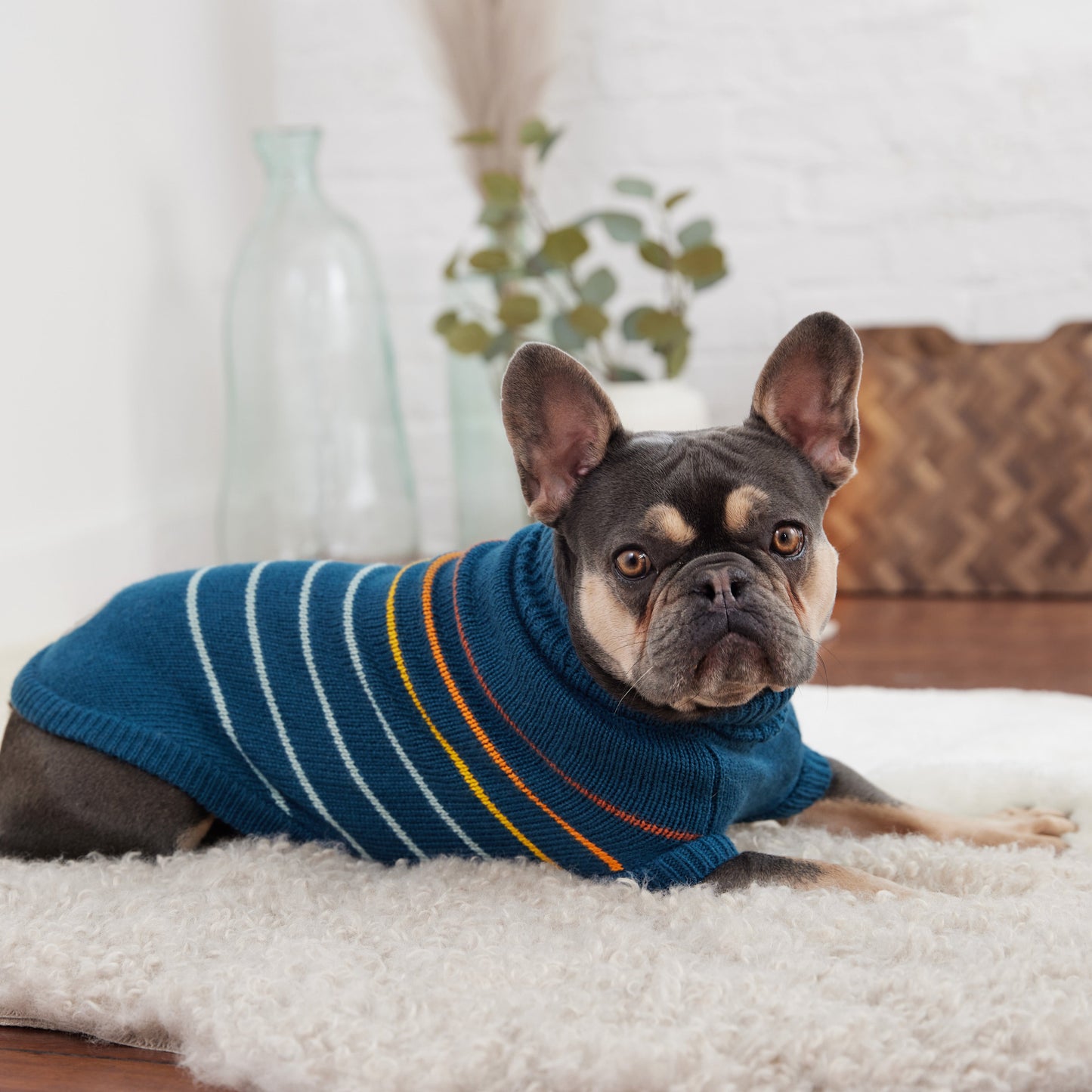 Arctic Dog Sweater – Teal | Ribbed Turtleneck